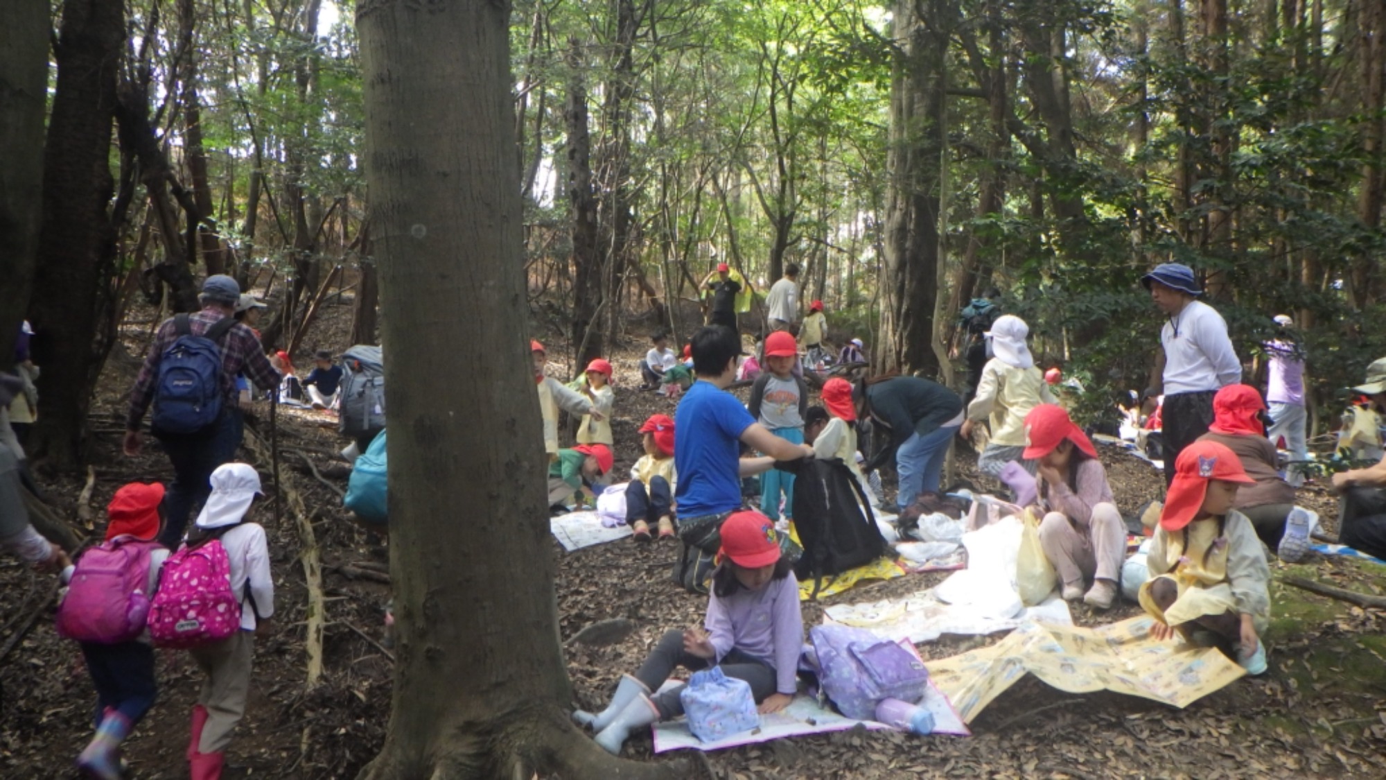 【年長】村積山　イノシシ沼　園外保育（1/4）