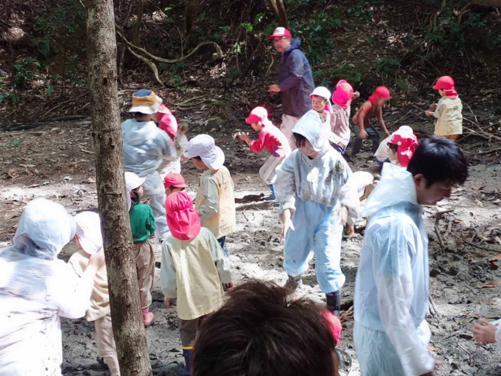 【年長】村積山　イノシシ沼　園外保育（2/4）