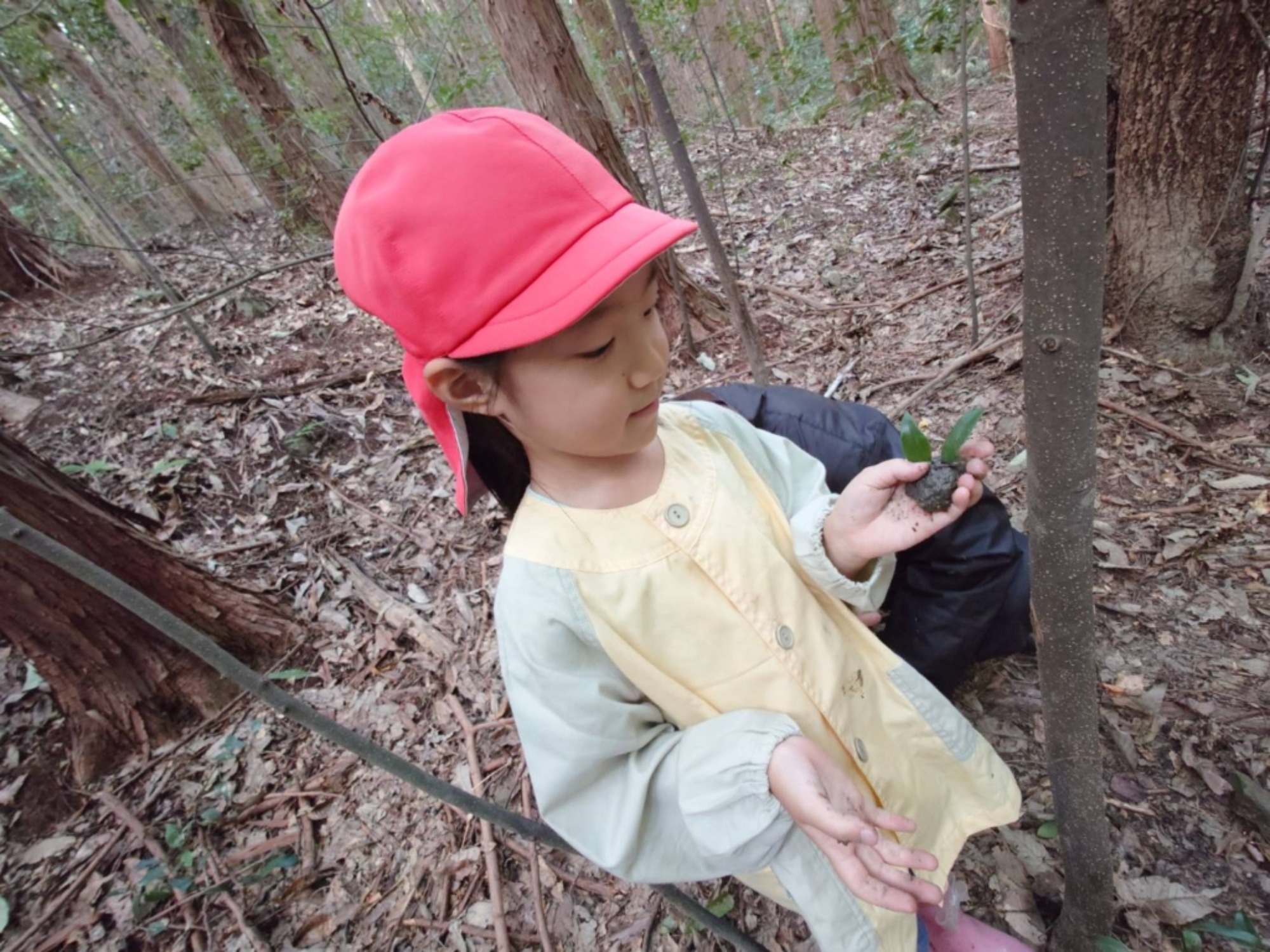 【年長】村積山　イノシシ沼　園外保育（2/4）
