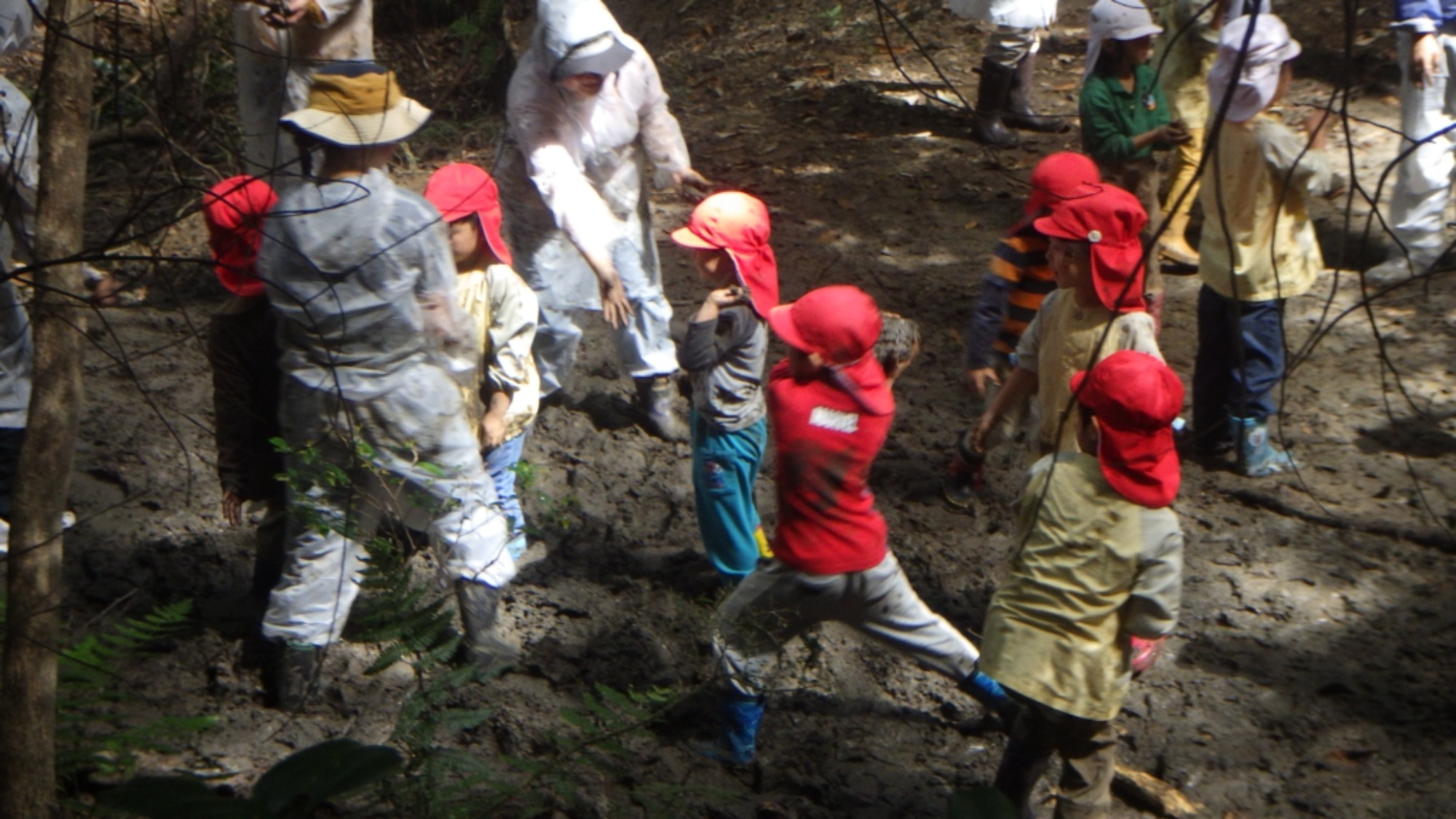 【年長】村積山　イノシシ沼　園外保育（2/4）
