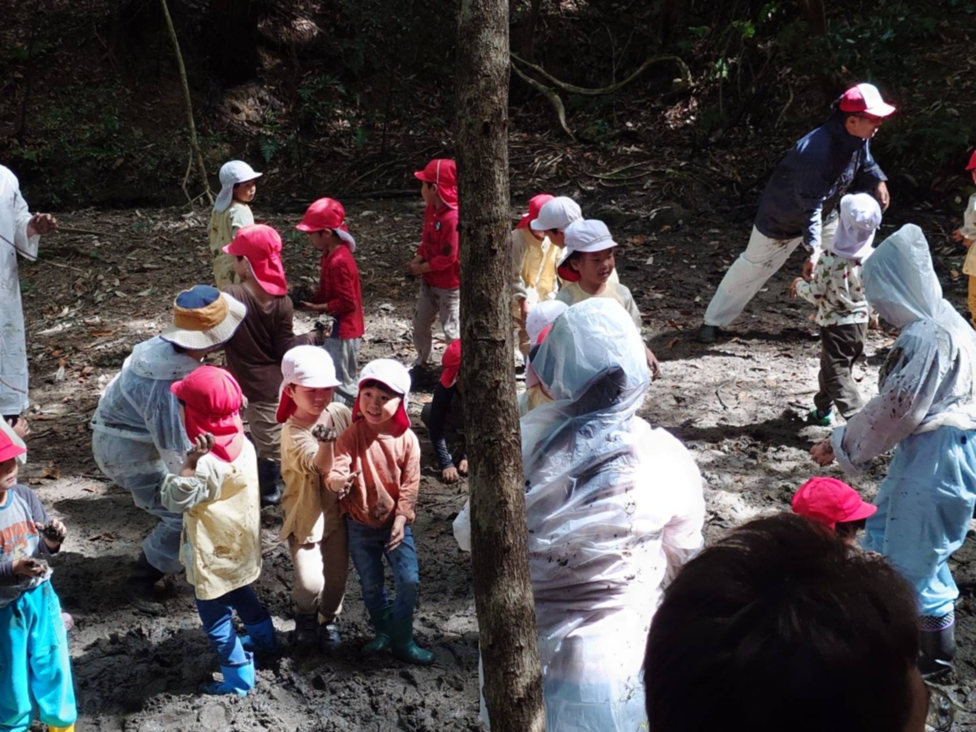 【年長】村積山　イノシシ沼　園外保育（2/4）