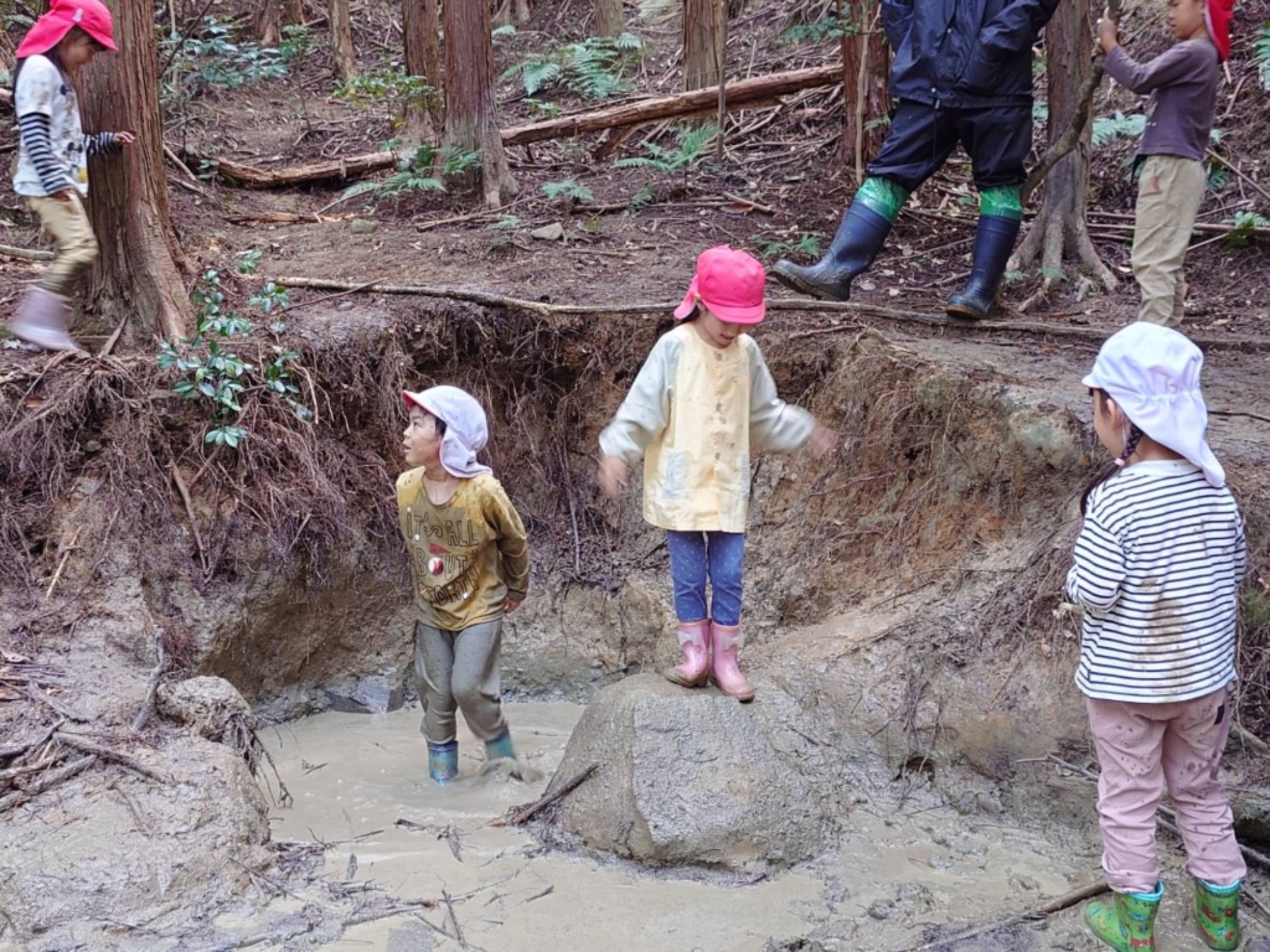 【年長】村積山　イノシシ沼　園外保育（3/4）