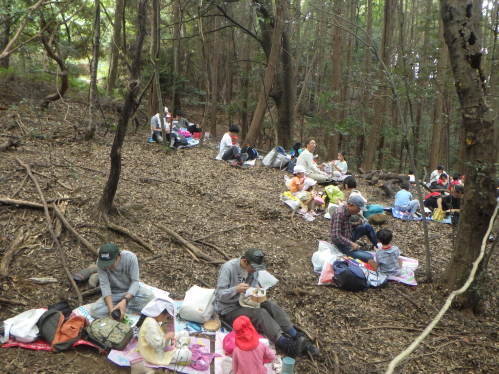 【年長】村積山　イノシシ沼　園外保育（4/4）