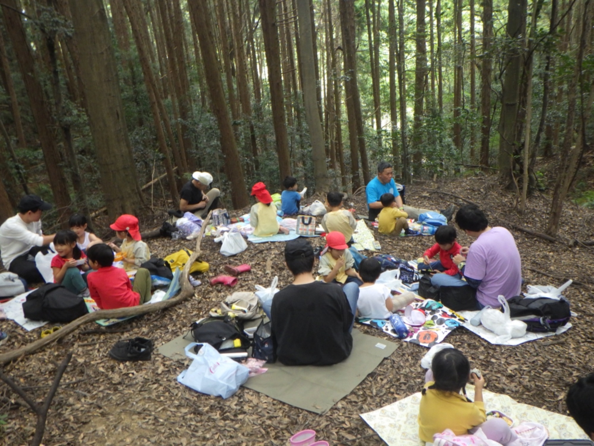 【年長】村積山　イノシシ沼　園外保育（4/4）