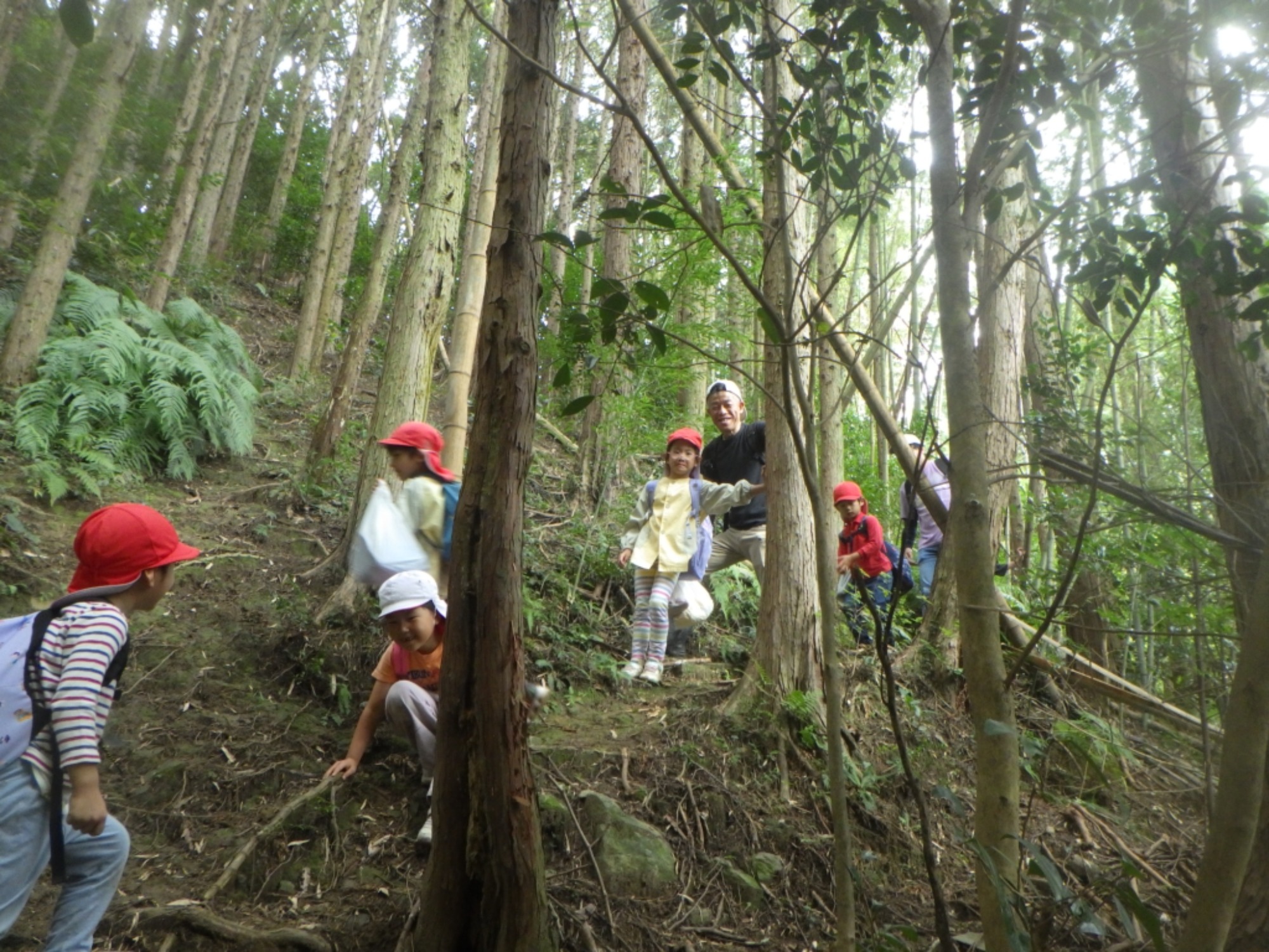【年長】村積山　イノシシ沼　園外保育（4/4）