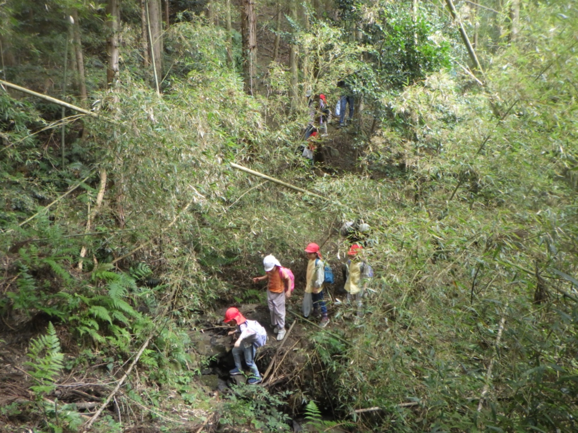 【年長】村積山　イノシシ沼　園外保育（4/4）