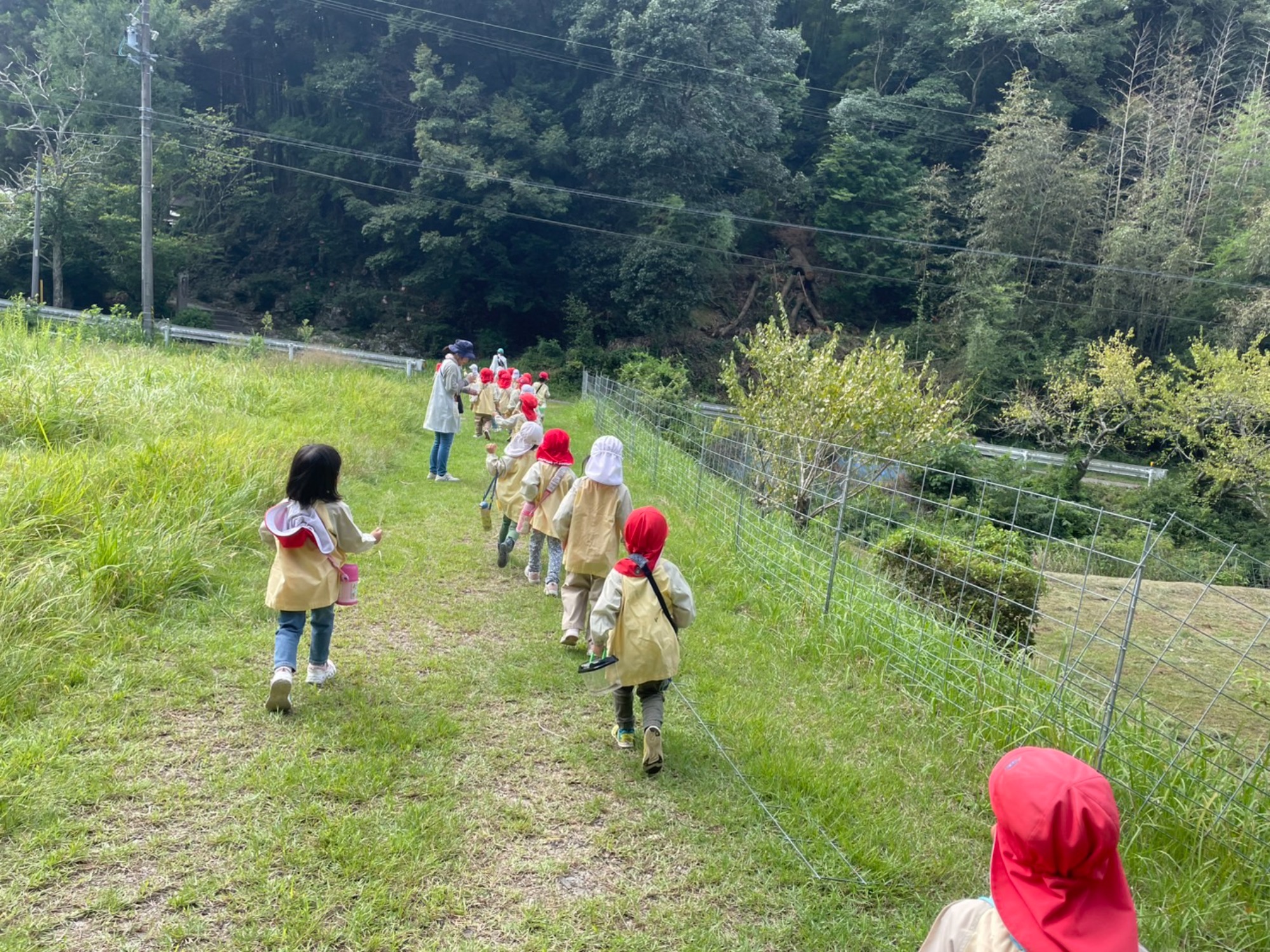 年中さん、田んぼへ