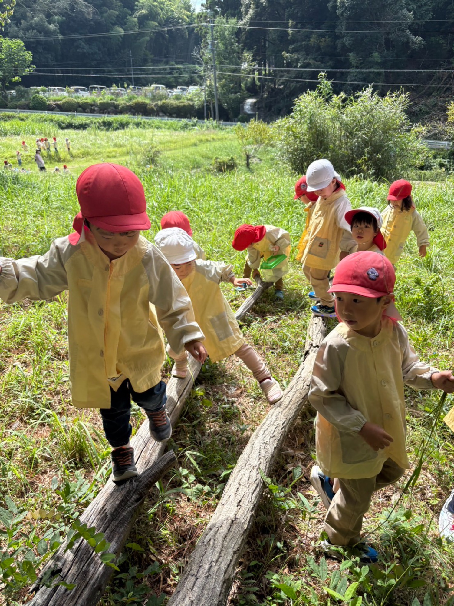年中さん、田んぼへ