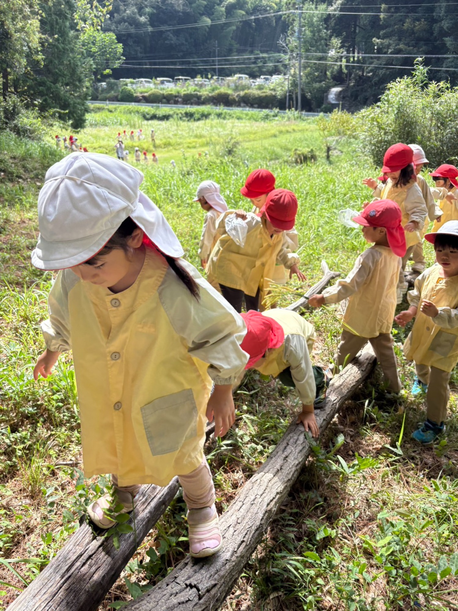 年中さん、田んぼへ