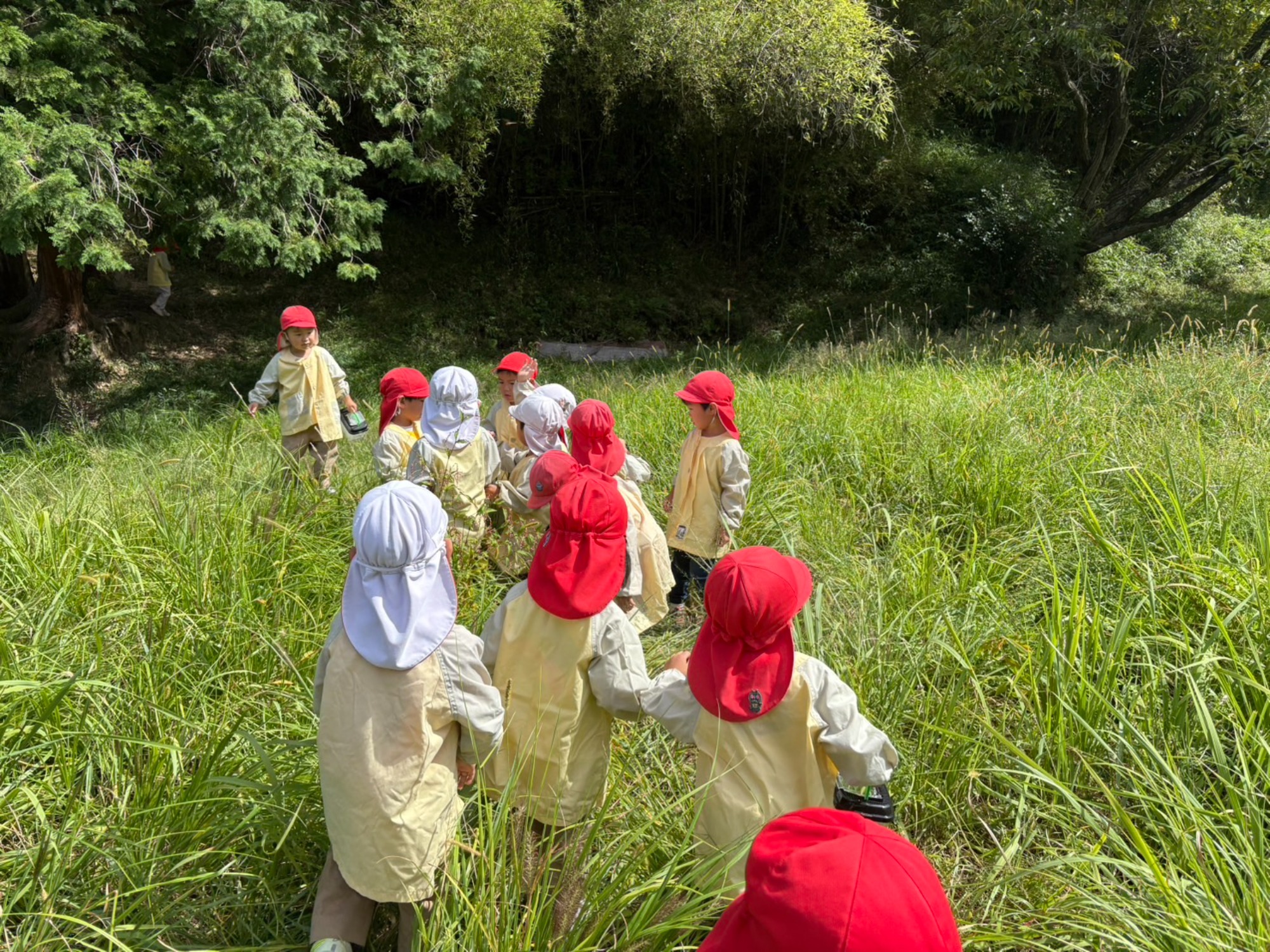 年中さん、田んぼへ