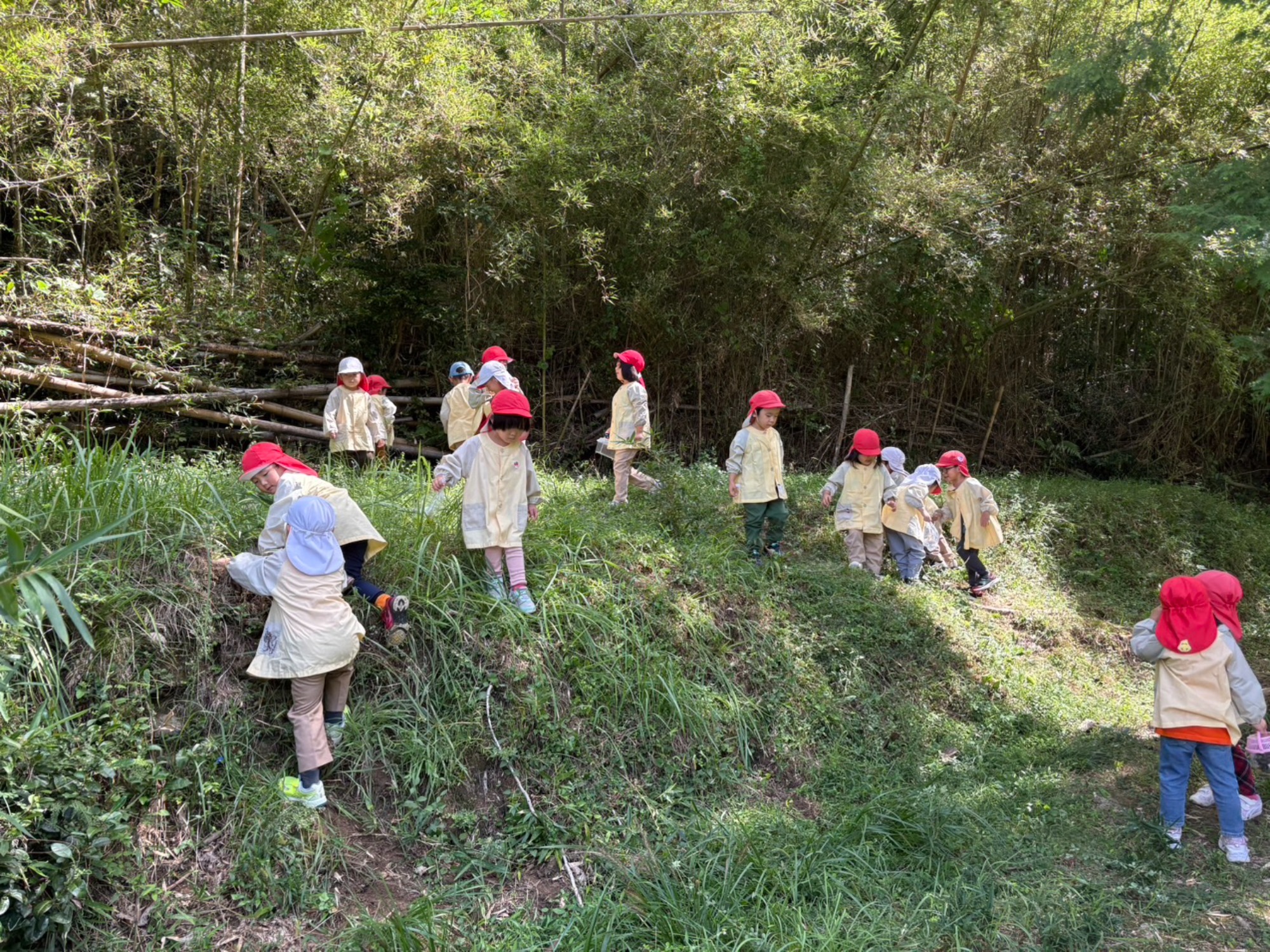 年中さん、田んぼへ