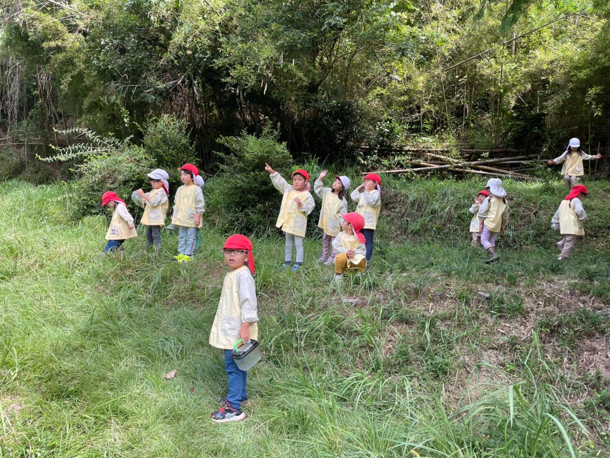 年中さん、田んぼへ