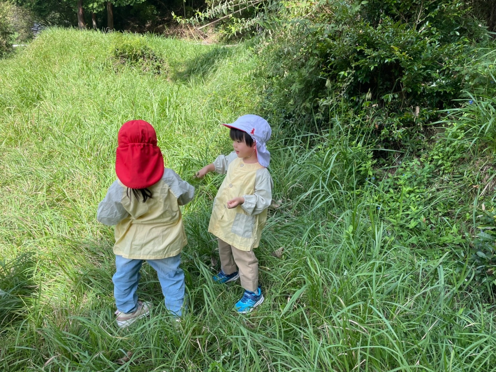 年中さん、田んぼへ