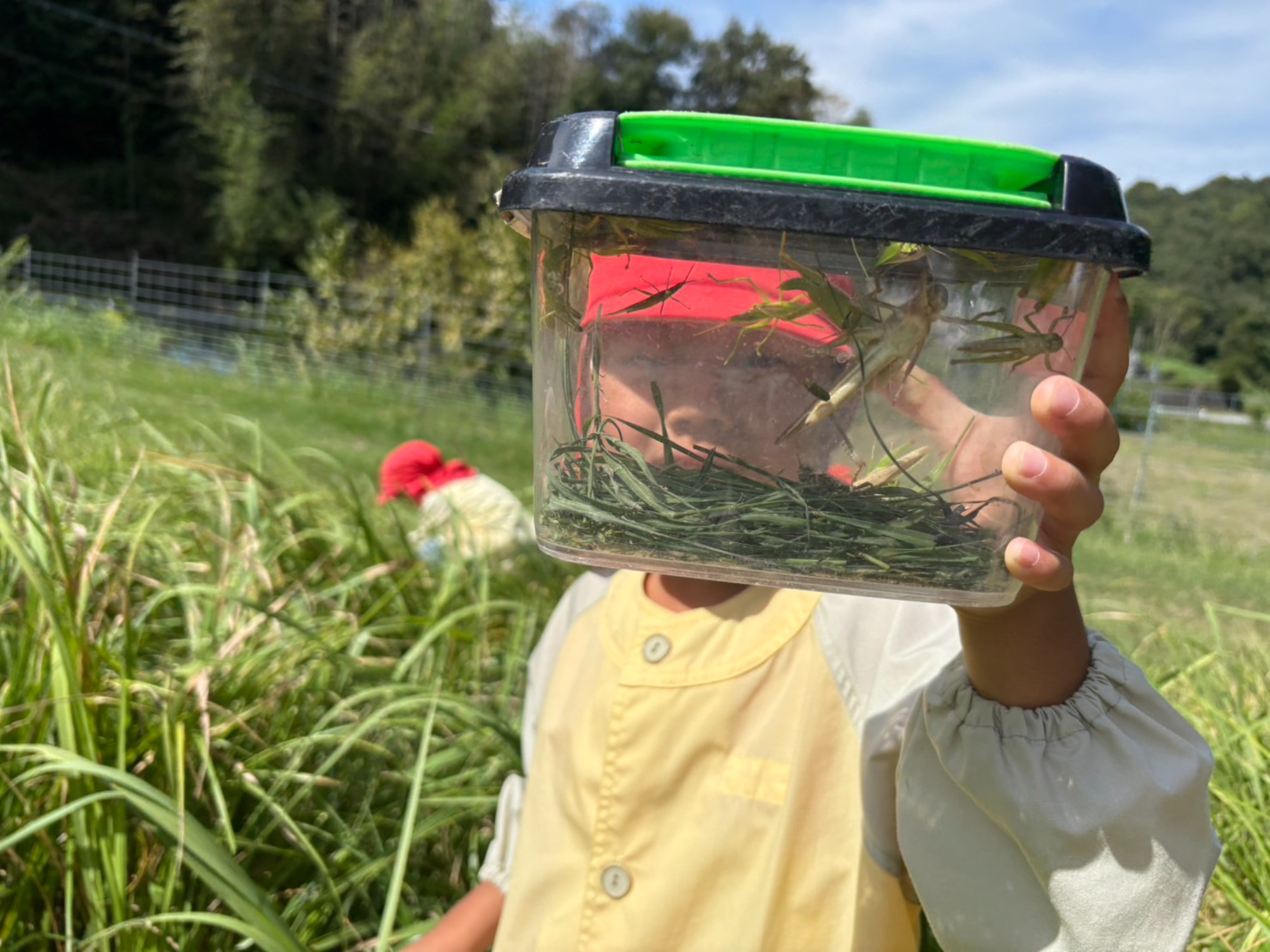 年中さん、田んぼへ