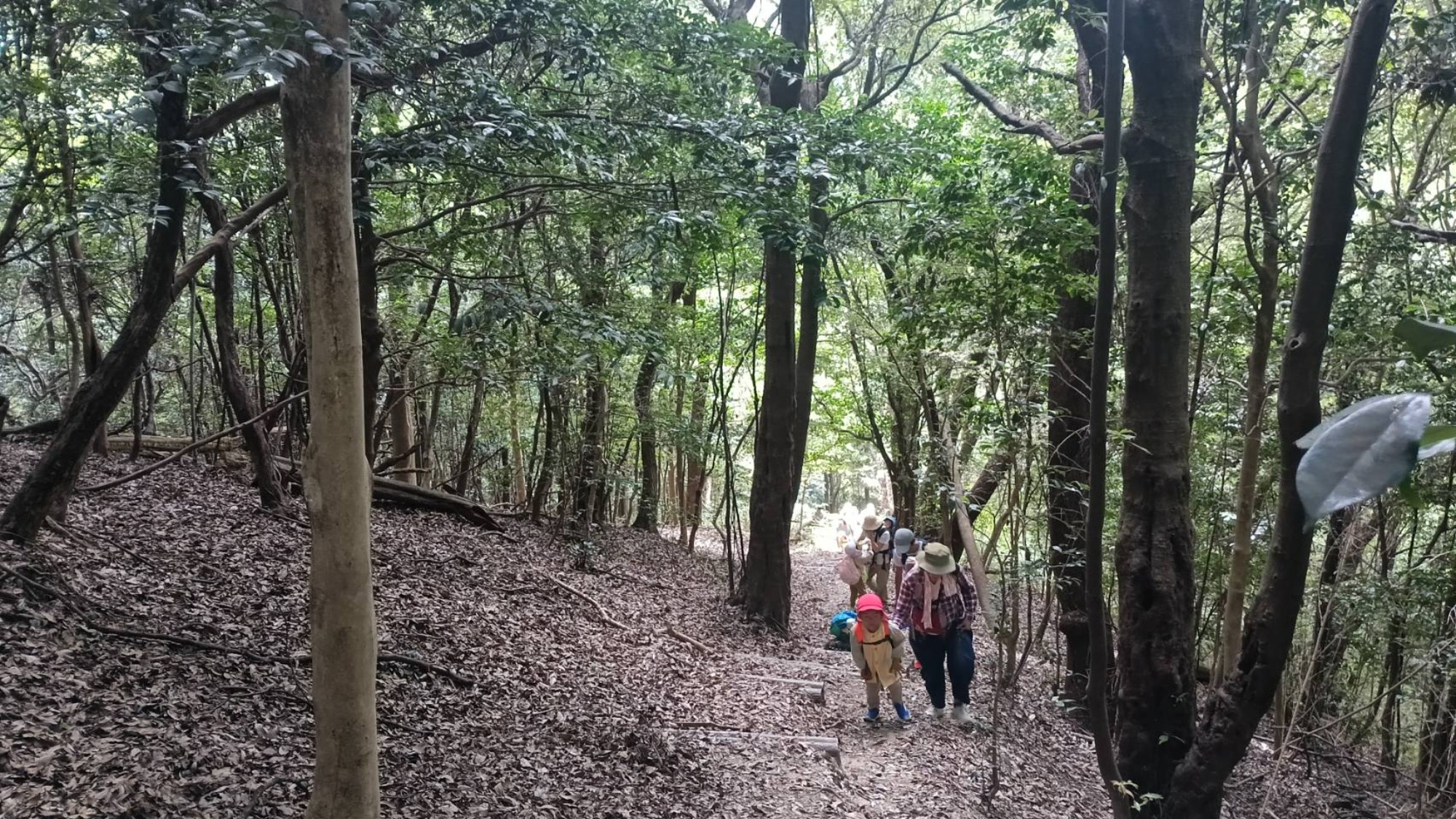 【年中】9/26　村積山　園外保育（1/2）