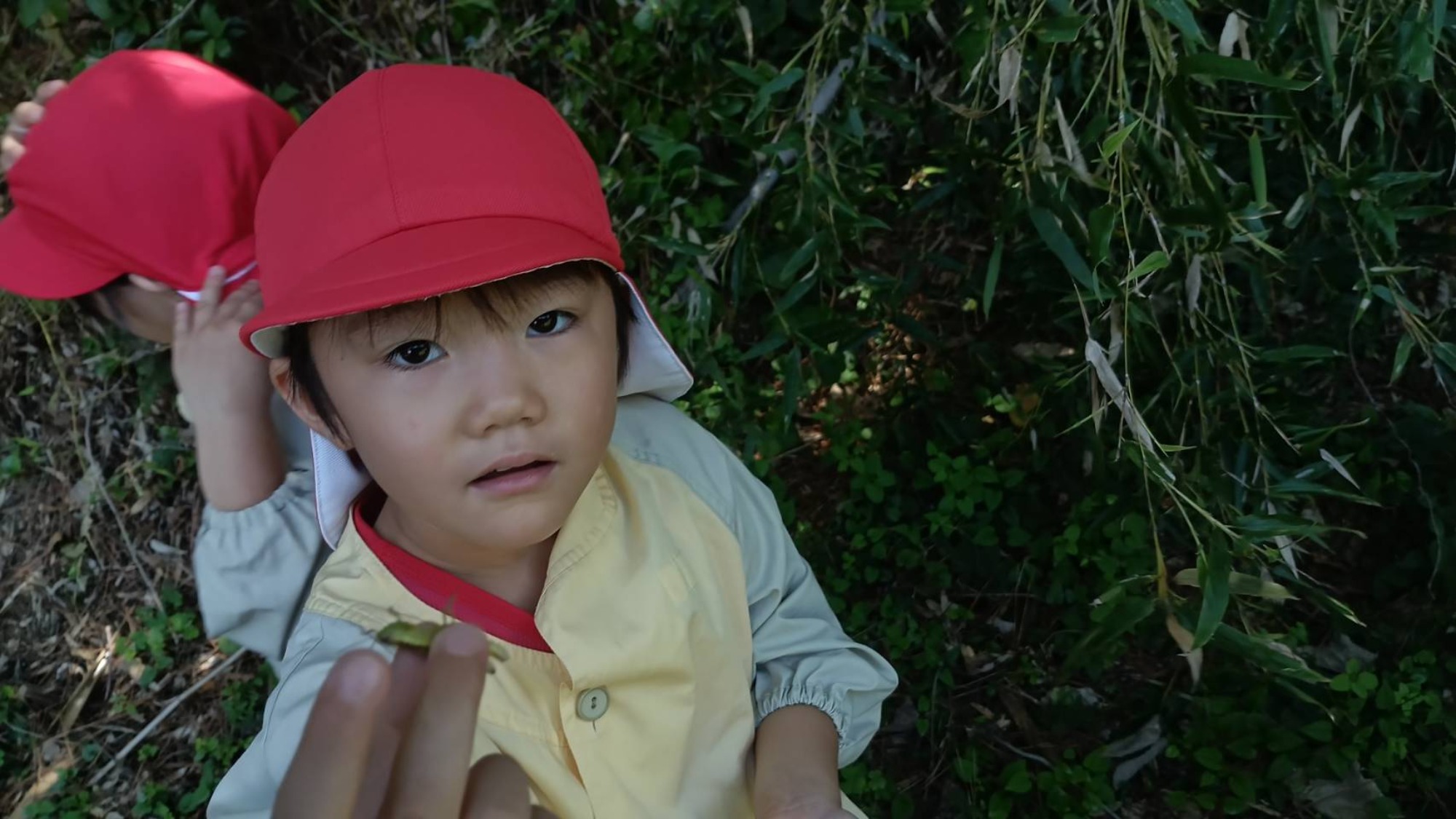 【年中】9/26　村積山　園外保育（1/2）