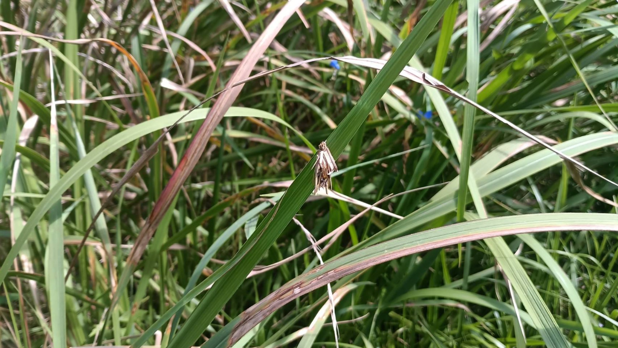 【年中】9/26　村積山　園外保育（1/2）