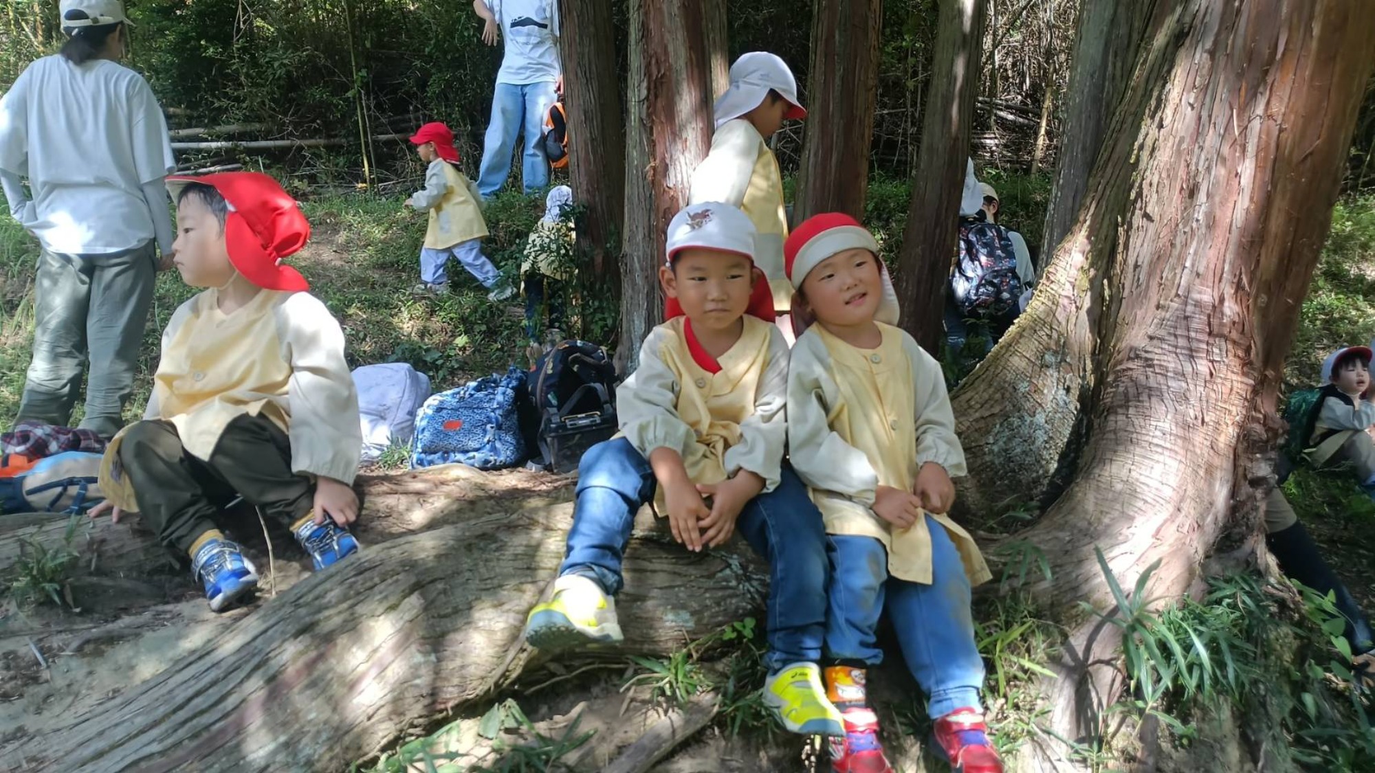 【年中】9/26　村積山　園外保育（2/2）