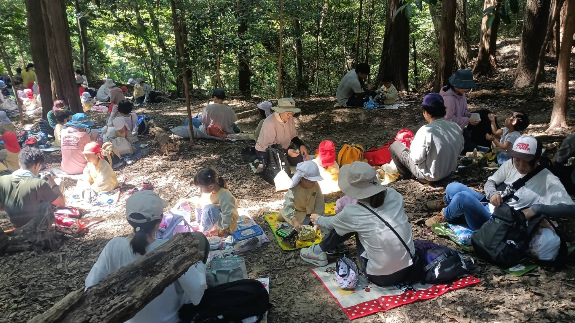 【年中】9/26　村積山　園外保育（2/2）