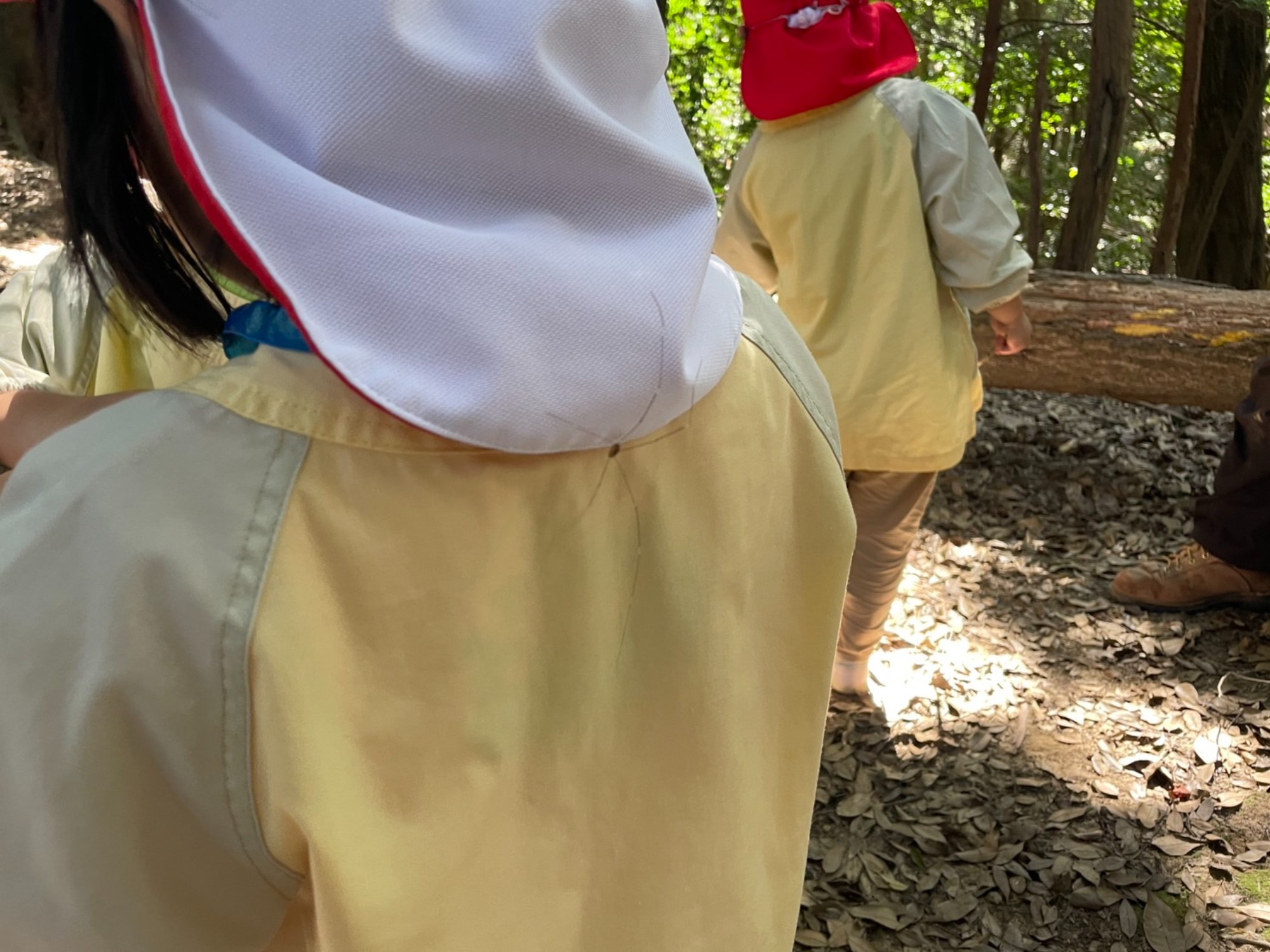 【年中】9/26　村積山　園外保育（2/2）