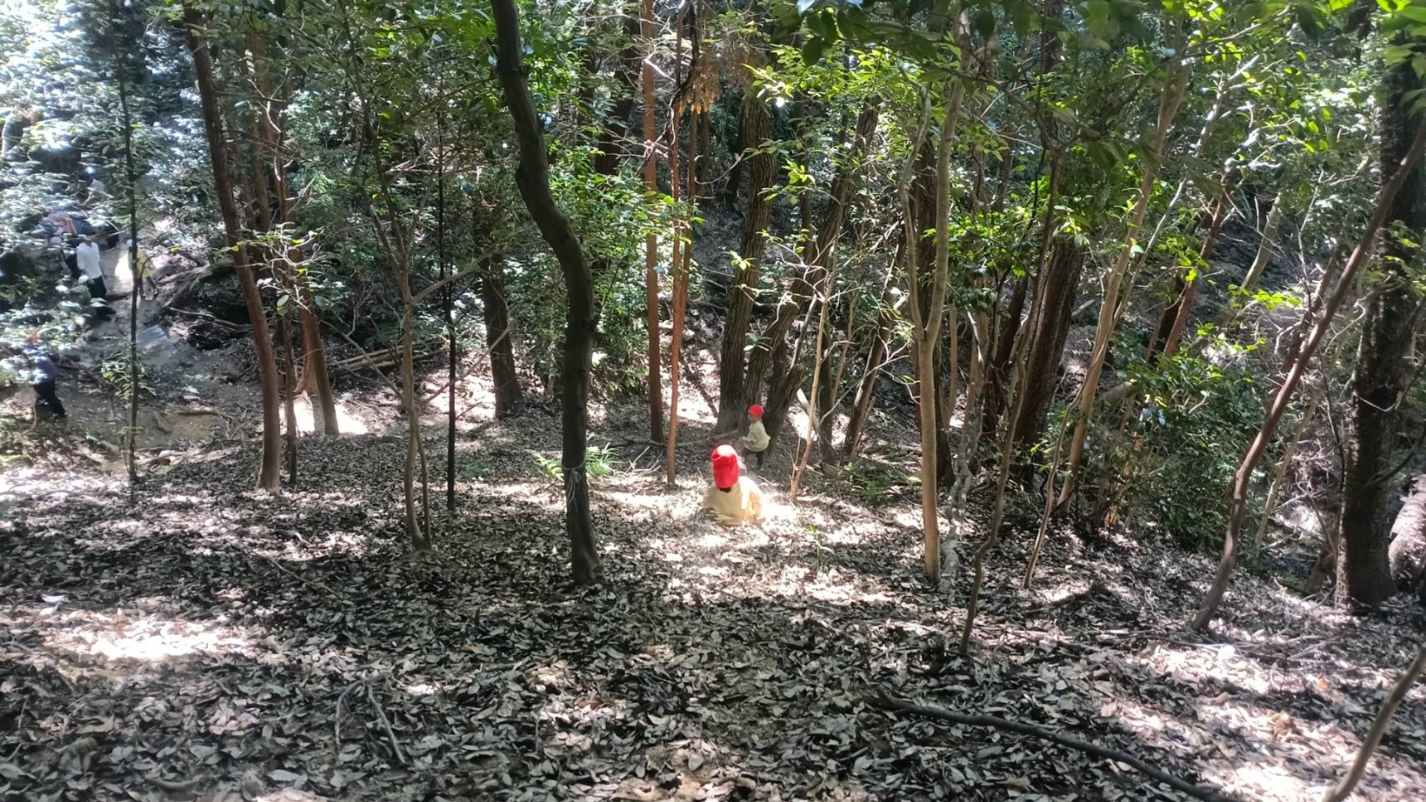 【年中】9/26　村積山　園外保育（2/2）