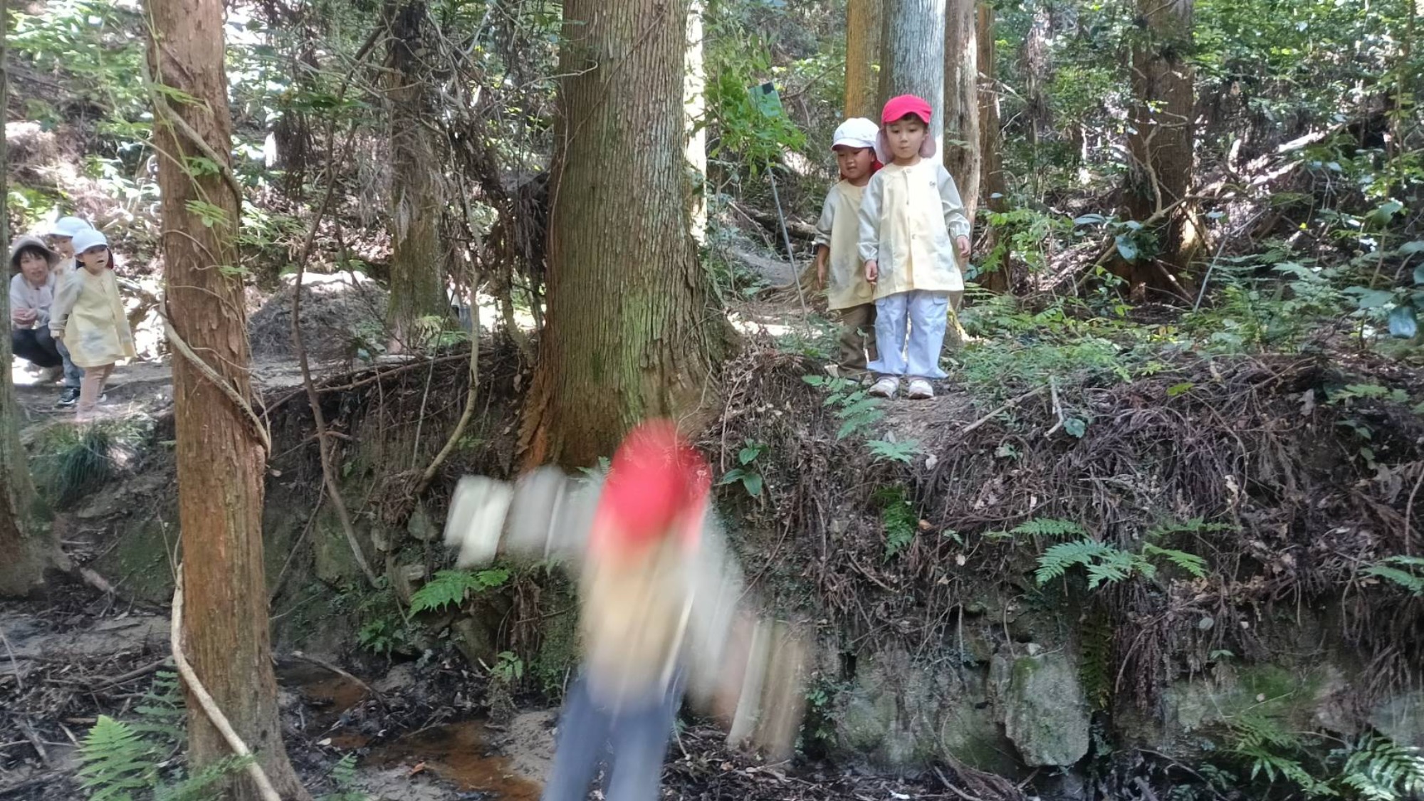 【年中】9/26　村積山　園外保育（2/2）