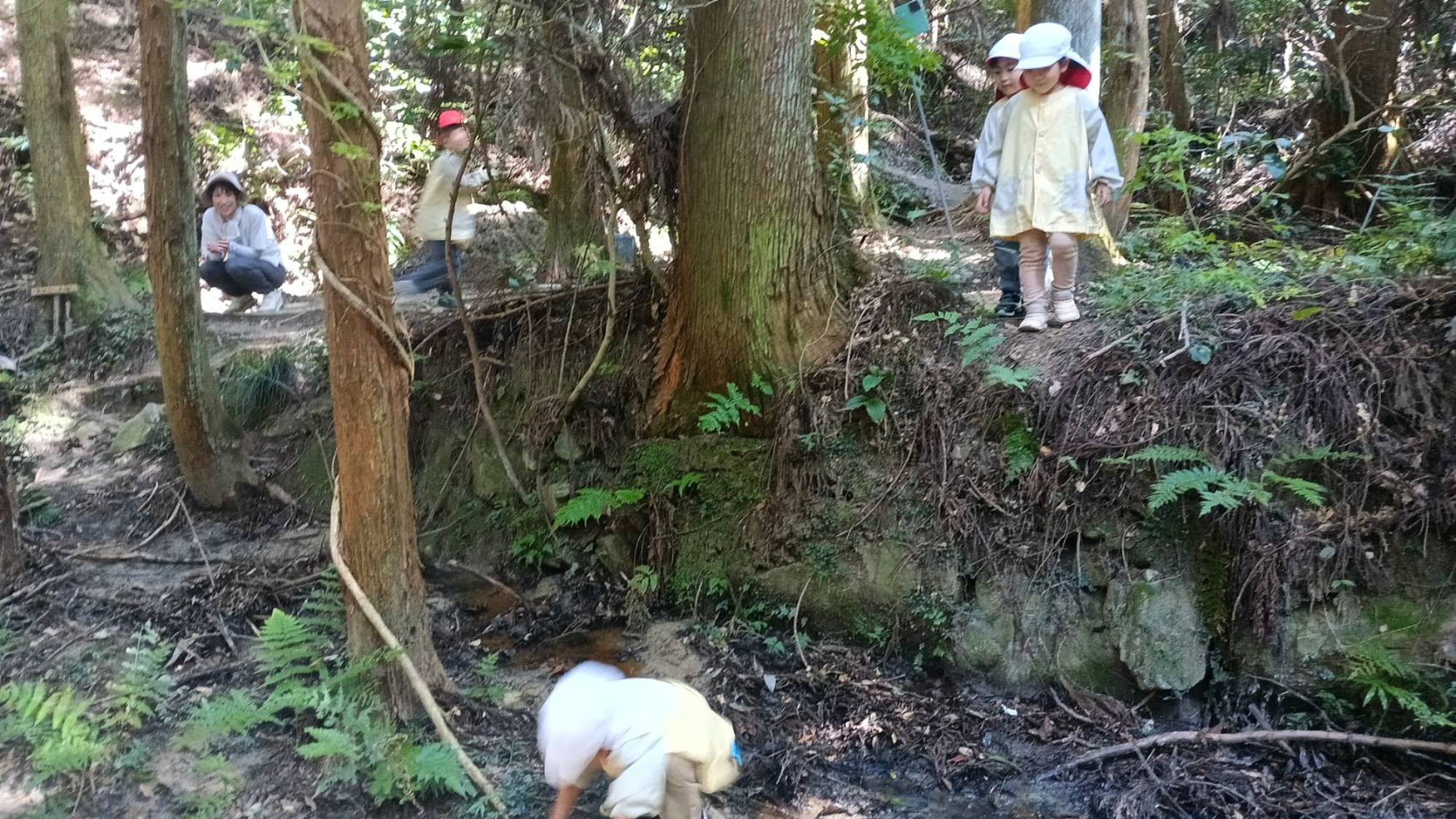 【年中】9/26　村積山　園外保育（2/2）