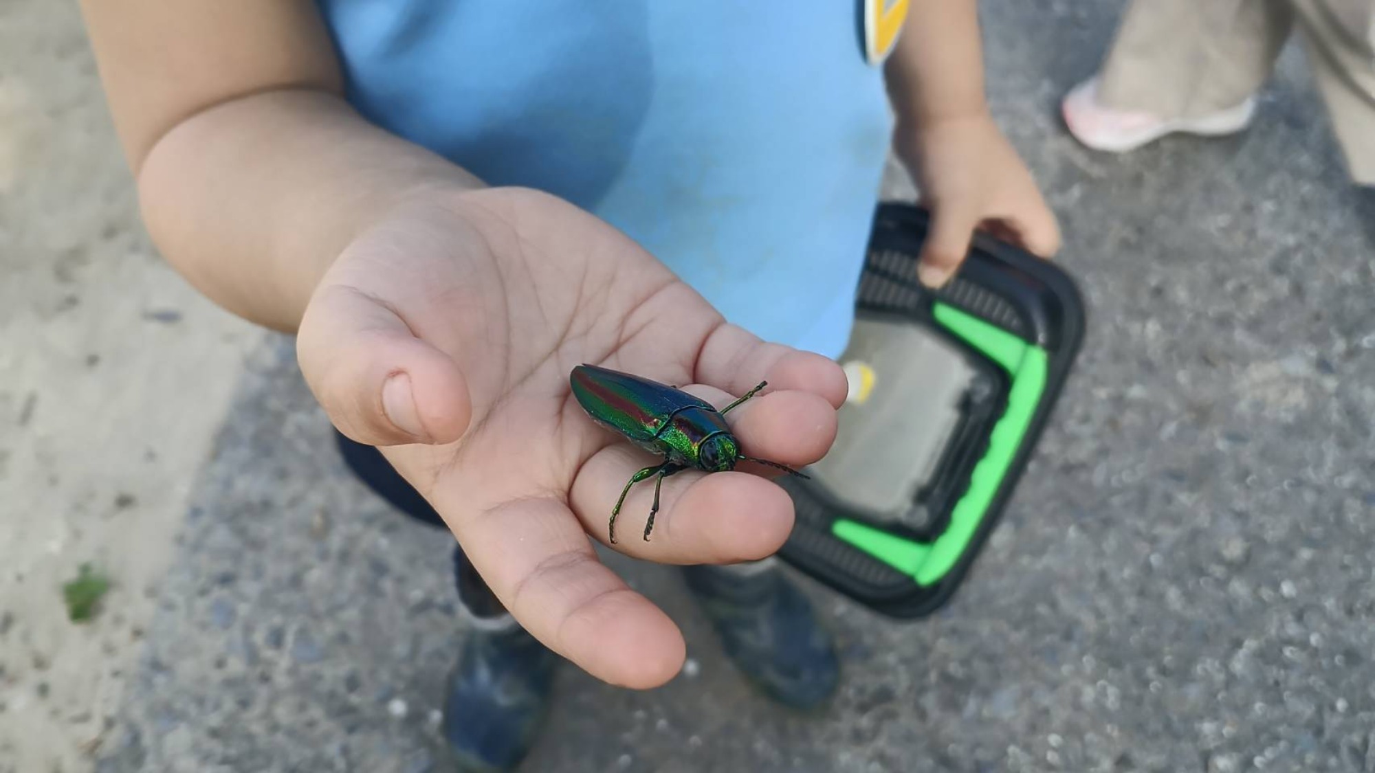 そこにいるのは…？