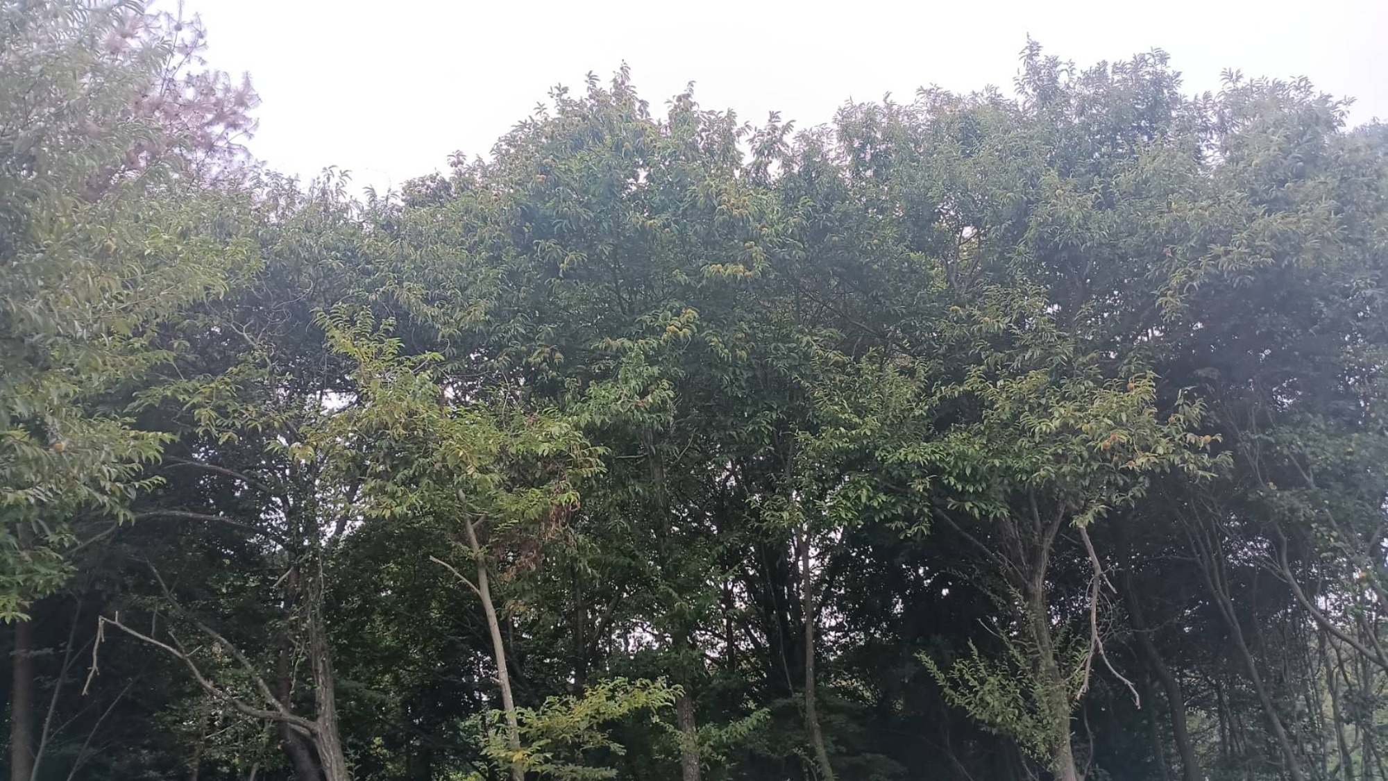 そこにいるのは…？