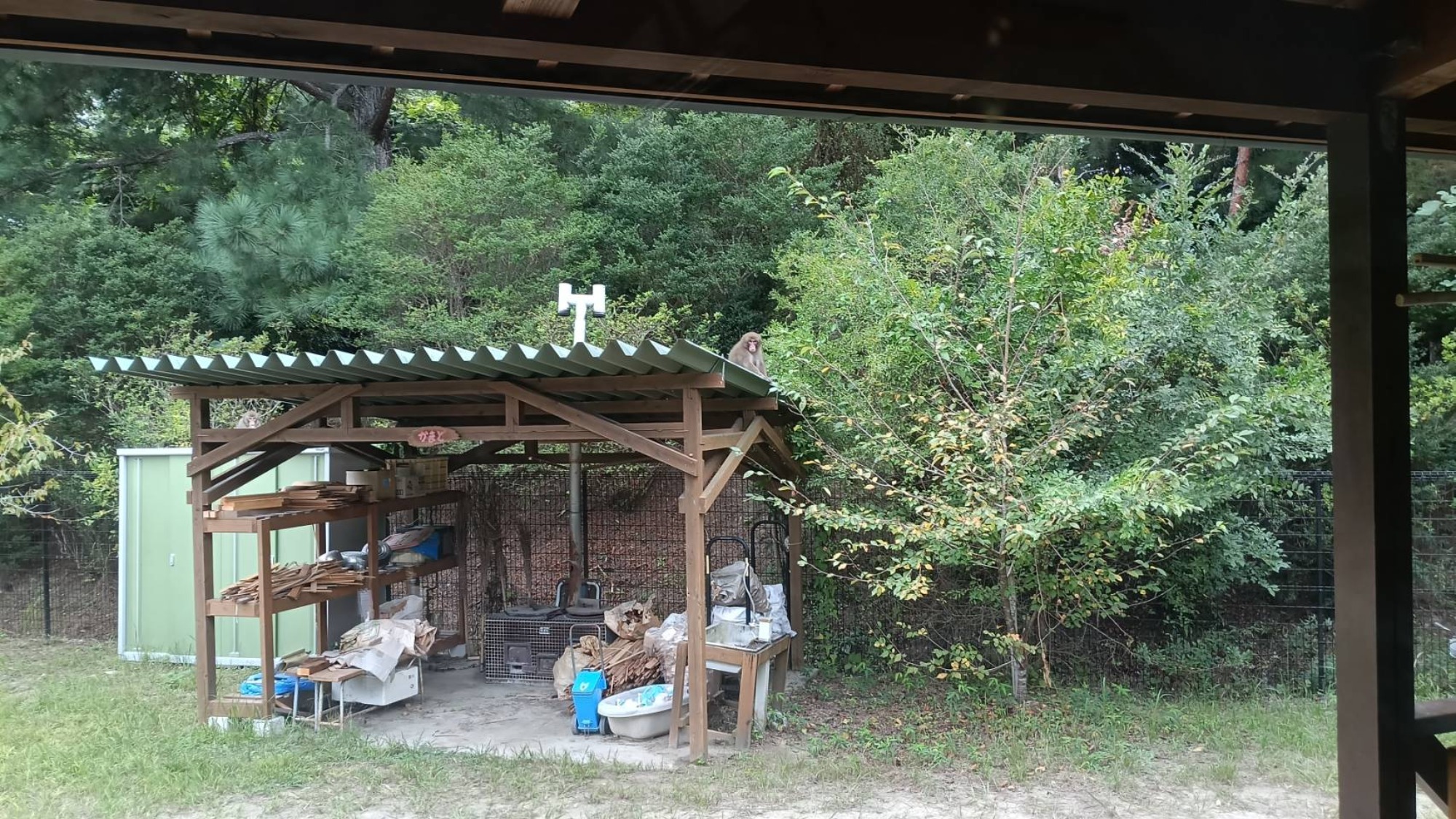 そこにいるのは…？