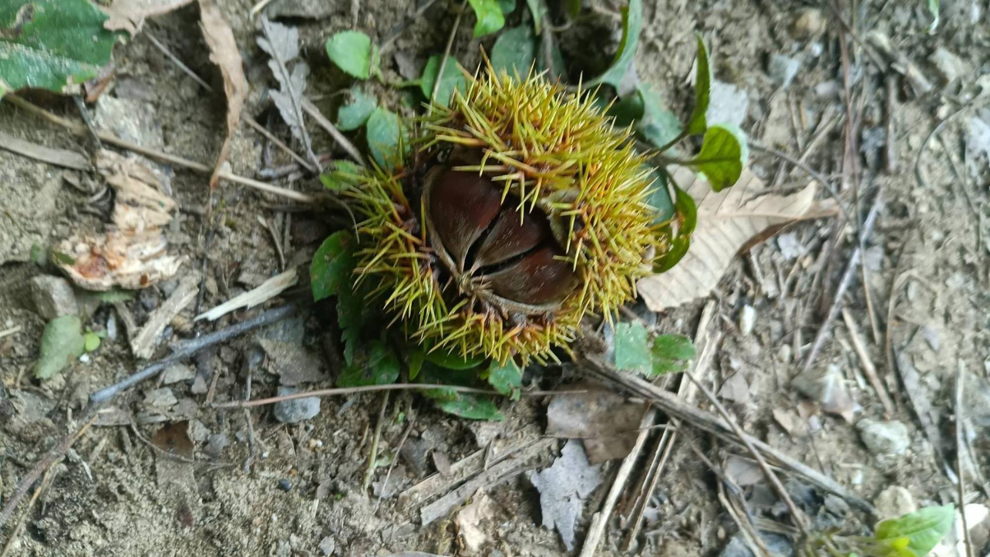 そこにいるのは…？