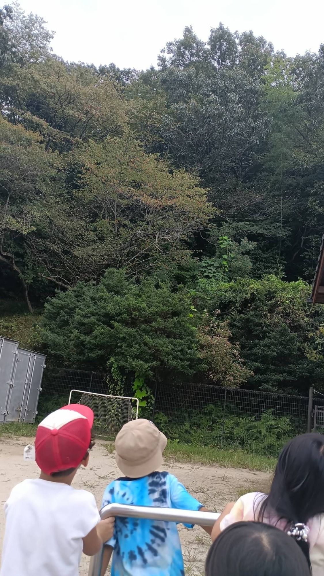 そこにいるのは…？