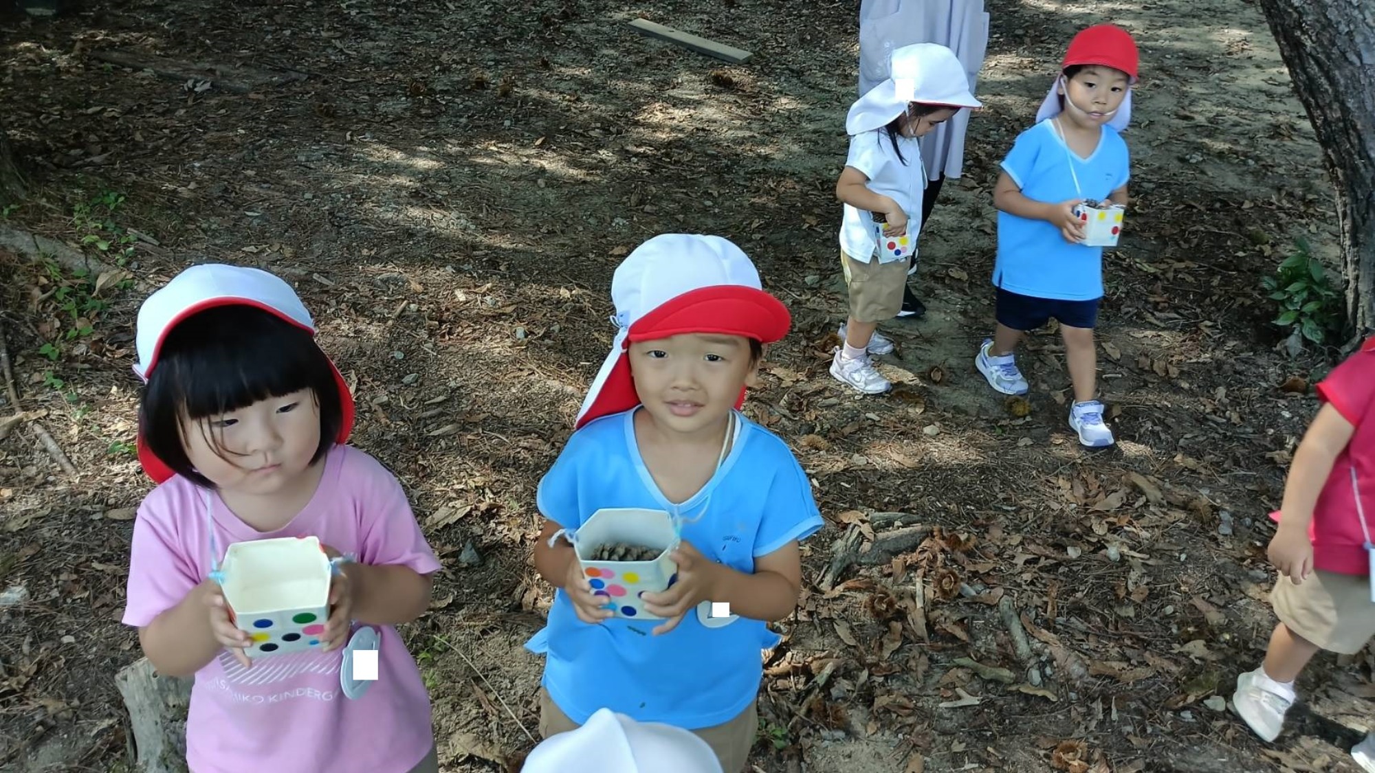 親子で食器　木の実拾い