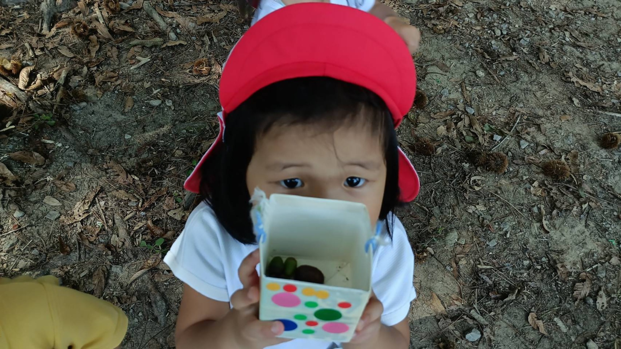 親子で食器　木の実拾い