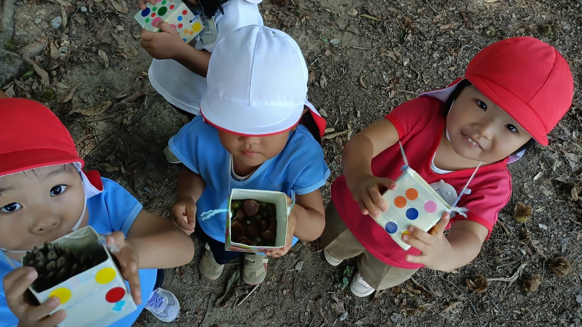 親子で食器　木の実拾い
