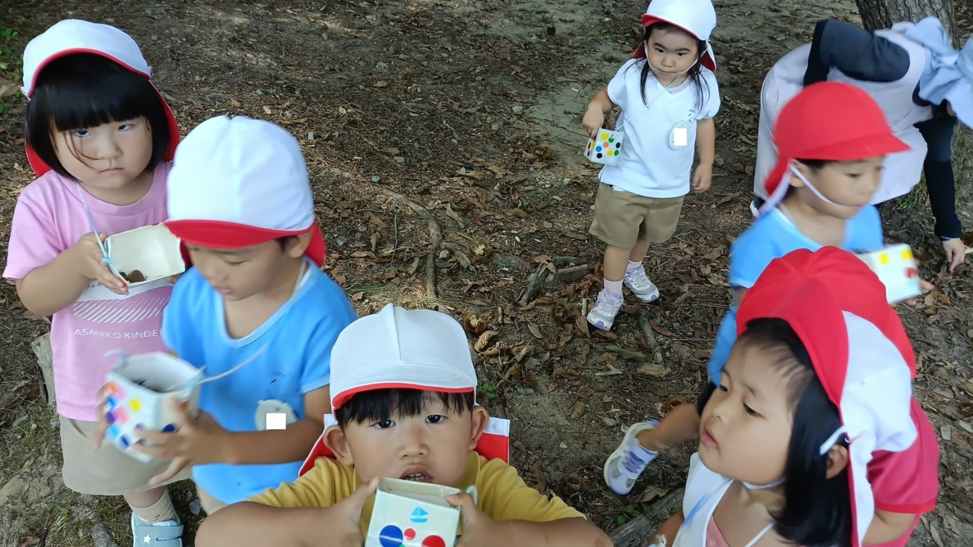 親子で食器　木の実拾い