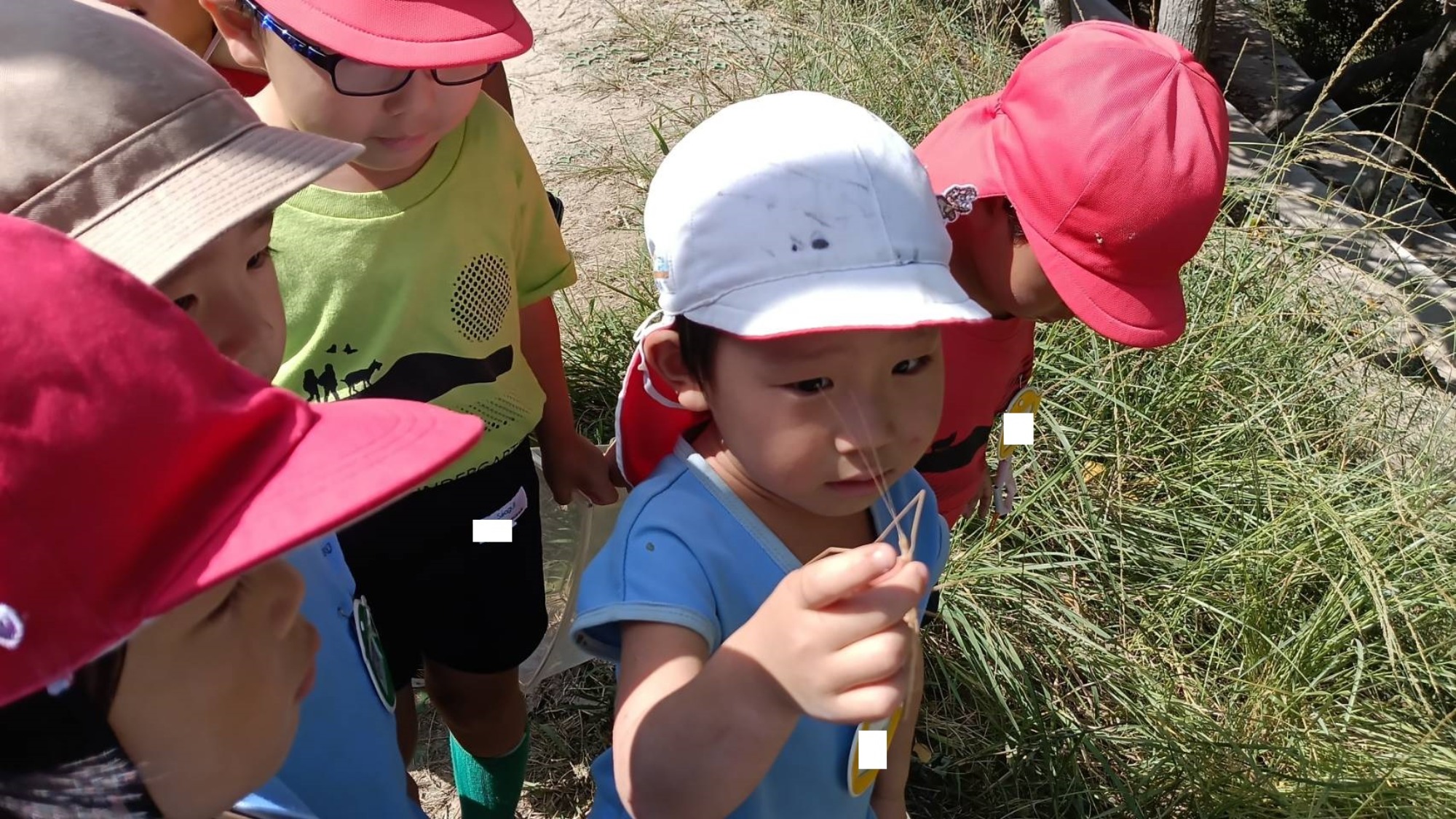 お祭りとドーナツとナナフシと花束