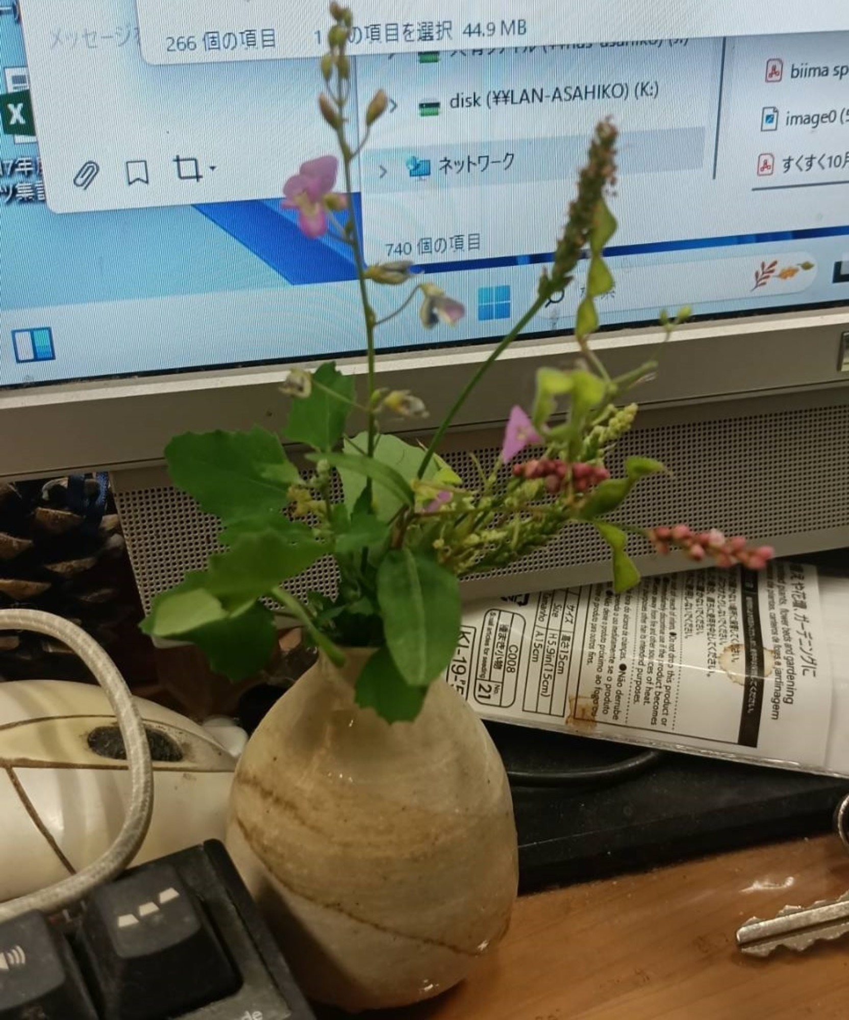 お祭りとドーナツとナナフシと花束