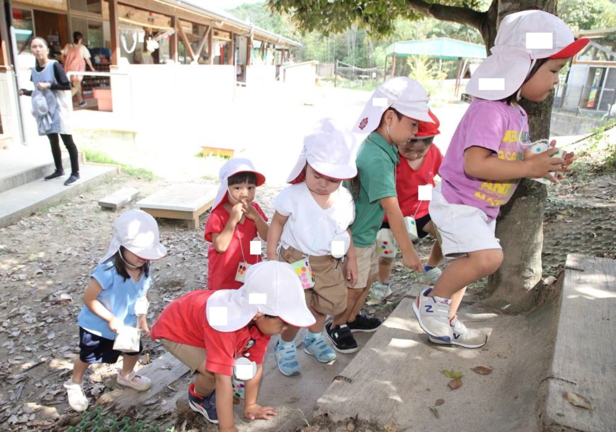 自然遊びとおほしさま組会