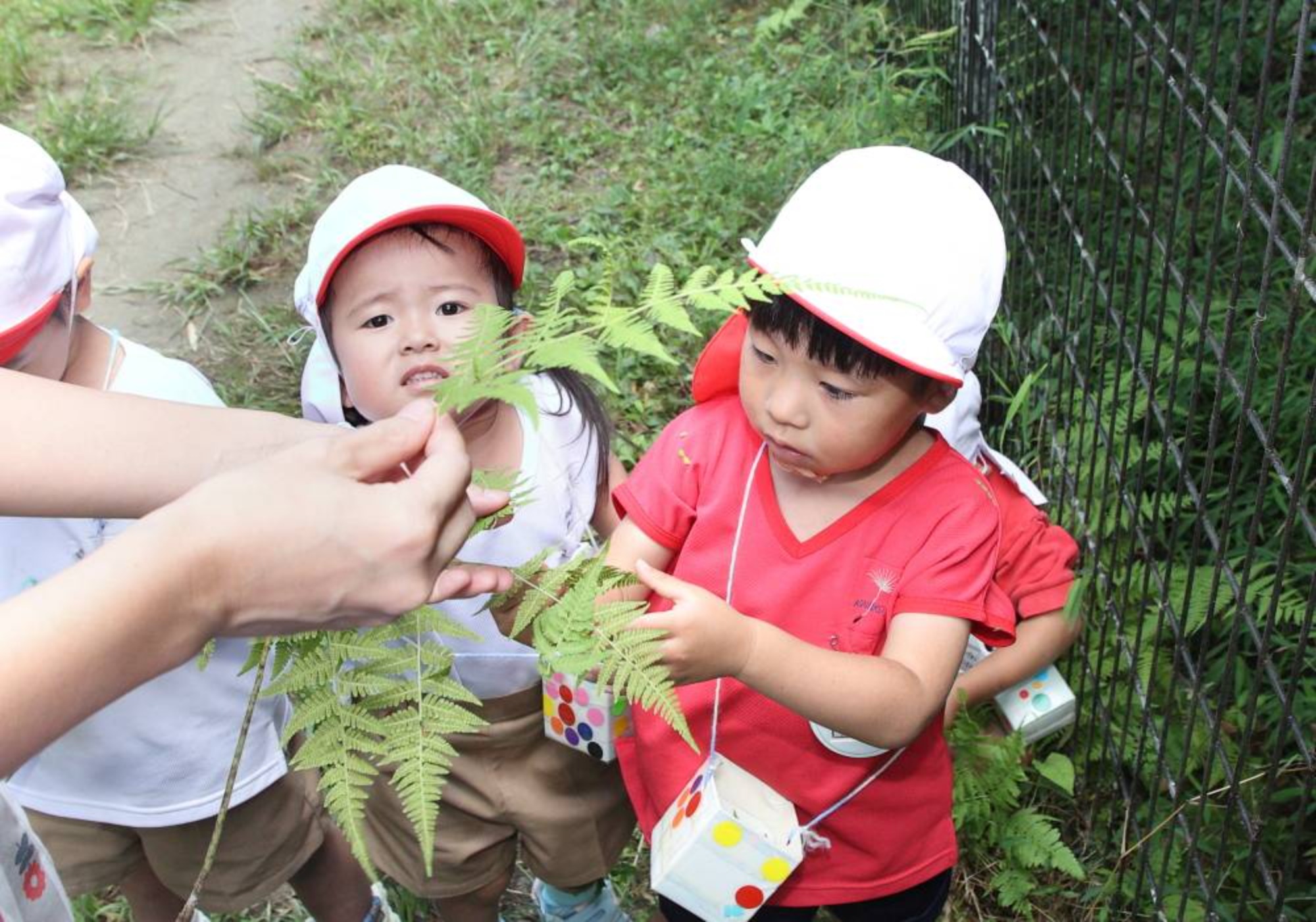 自然遊びとおほしさま組会