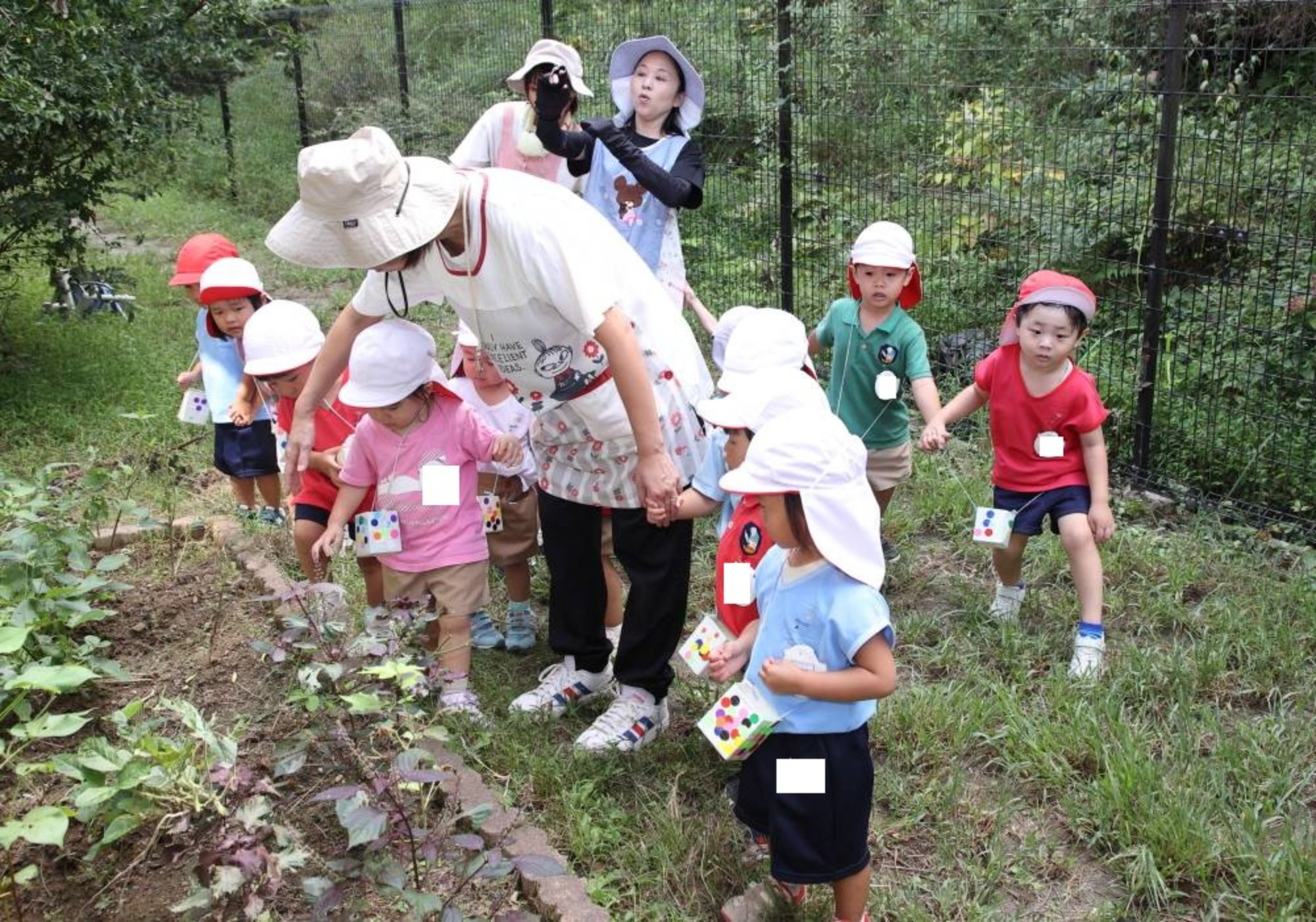自然遊びとおほしさま組会