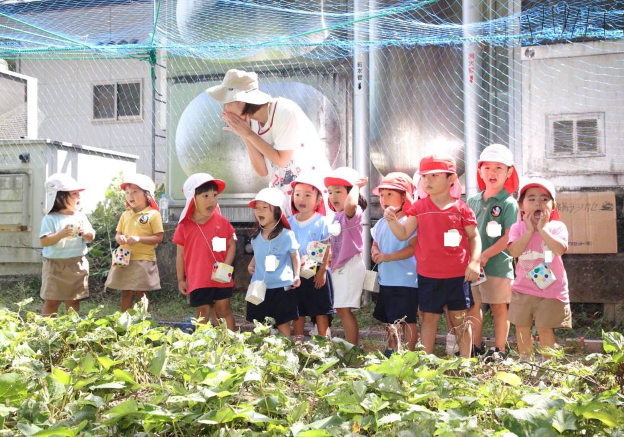 自然遊びとおほしさま組会