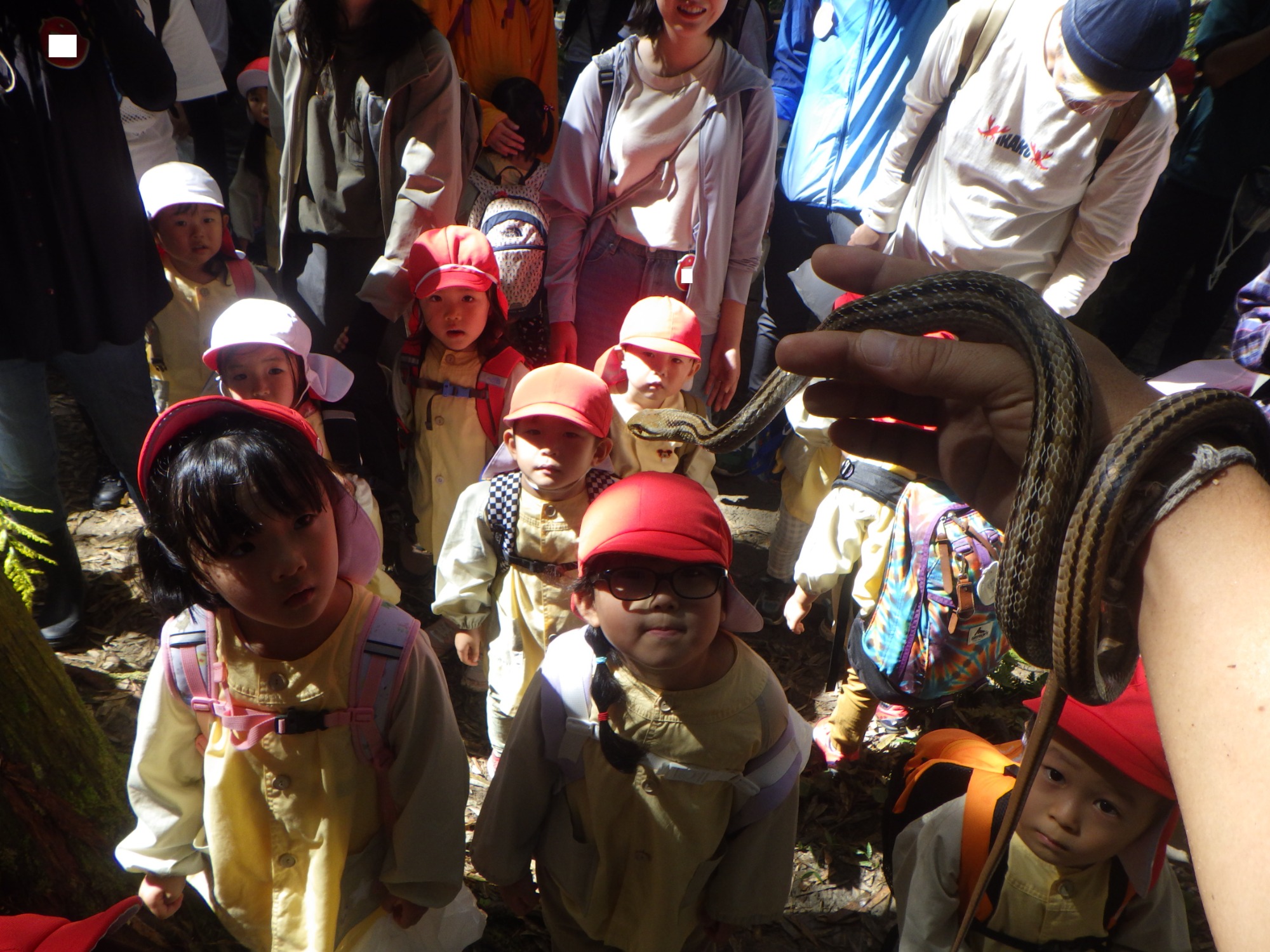 【年少】10/6　村積山　園外保育（1/2）