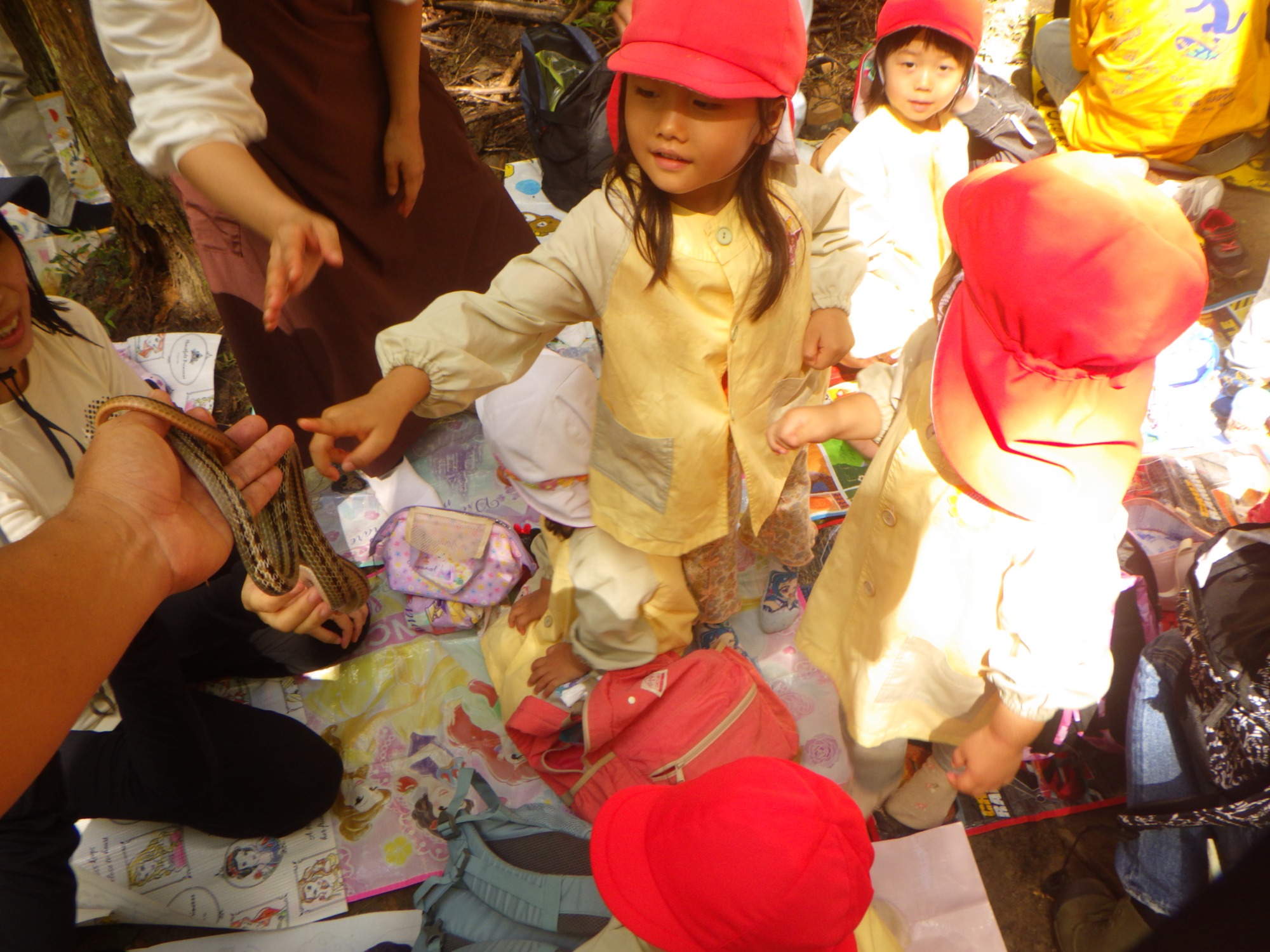 【年少】10/6　村積山　園外保育（1/2）