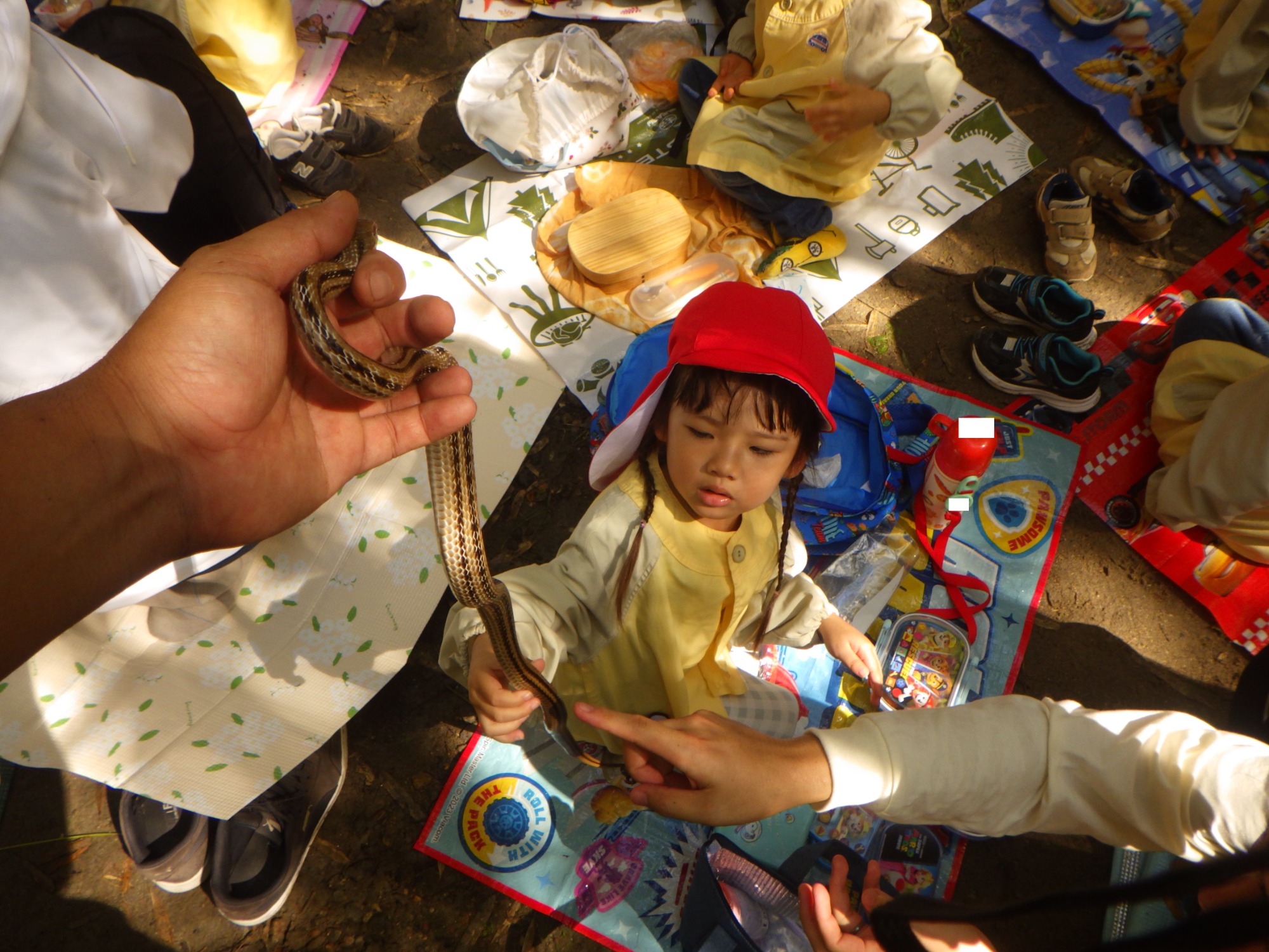 【年少】10/6　村積山　園外保育（1/2）