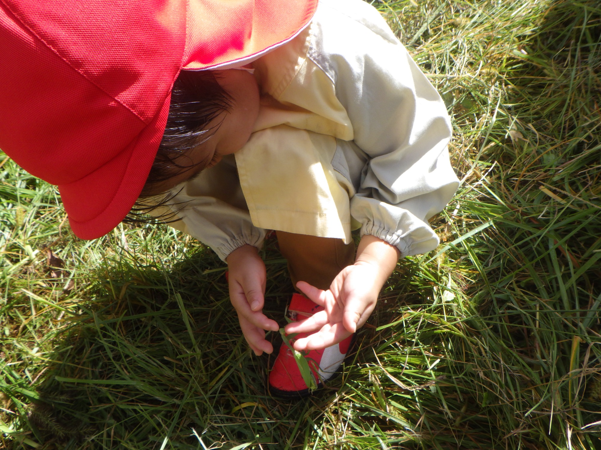 【年少】10/6　村積山　園外保育（1/2）