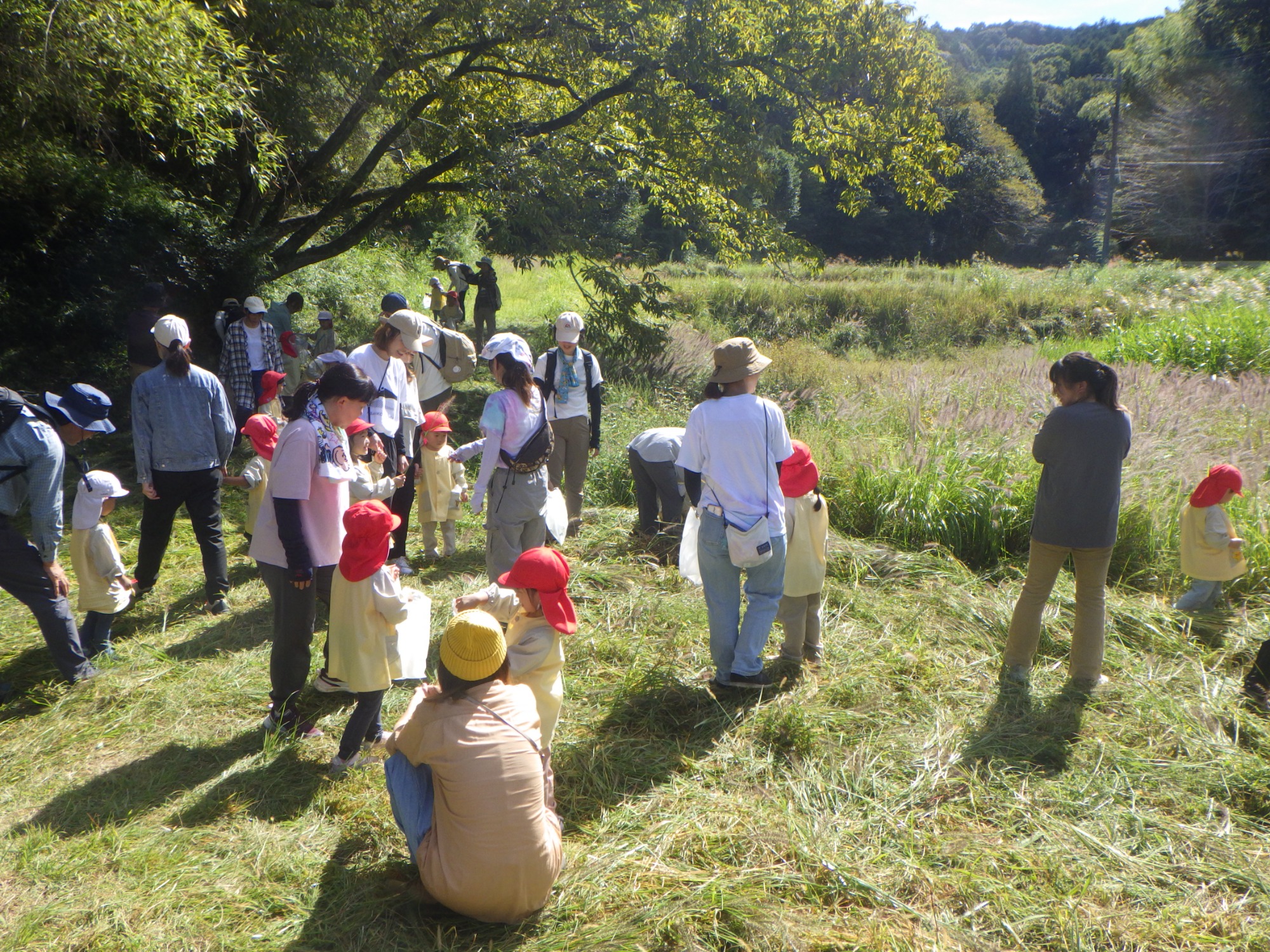 【年少】10/6　村積山　園外保育（1/2）