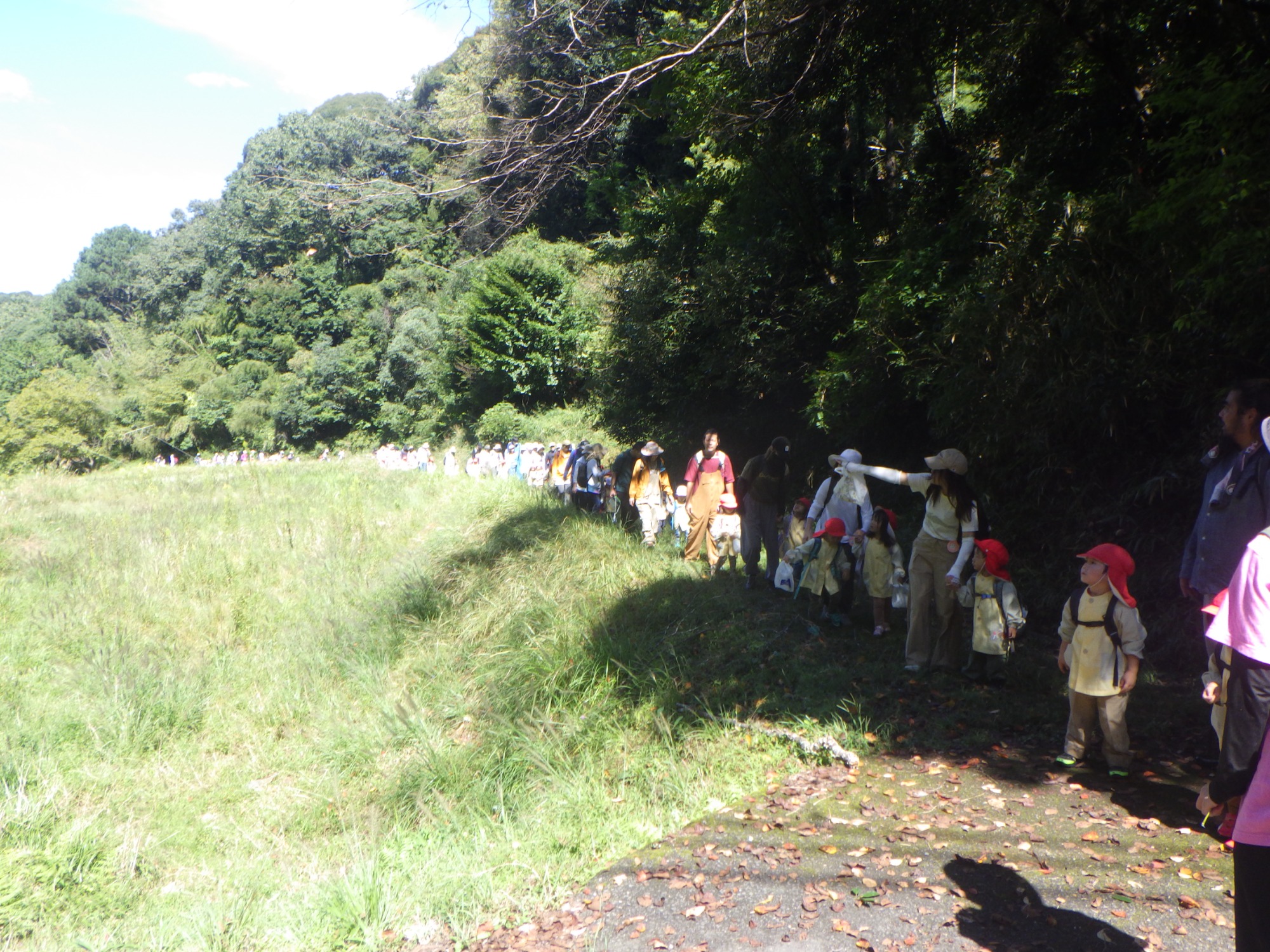 【年少】10/6　村積山　園外保育（1/2）