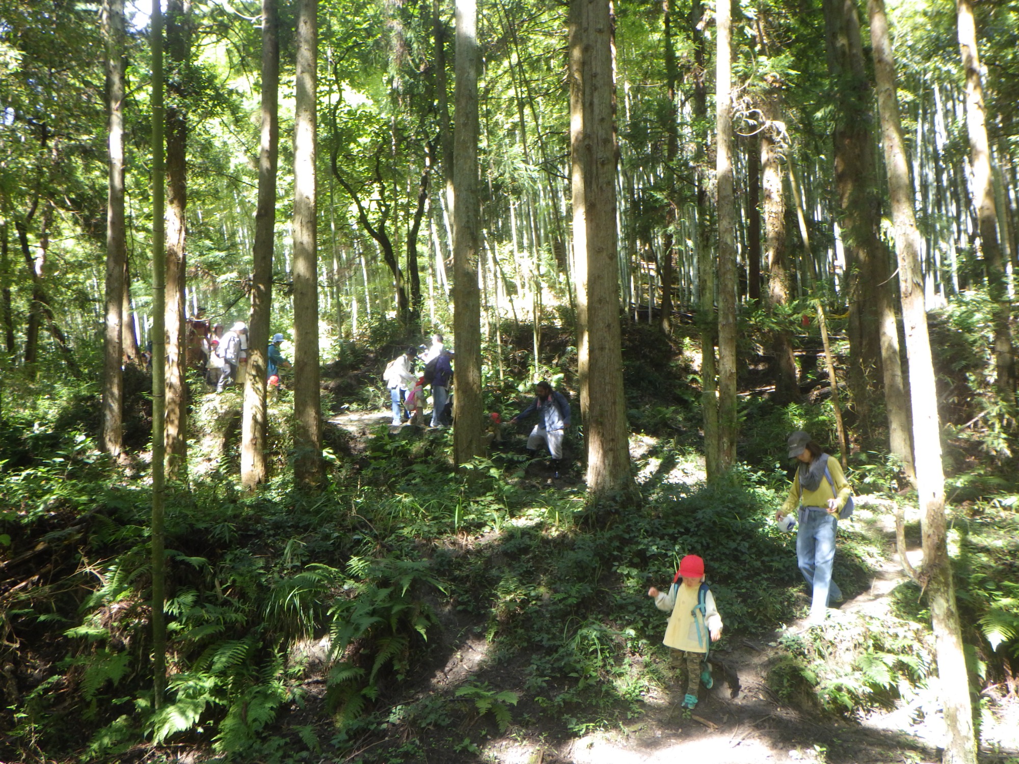 【年少】10/6　村積山　園外保育（1/2）