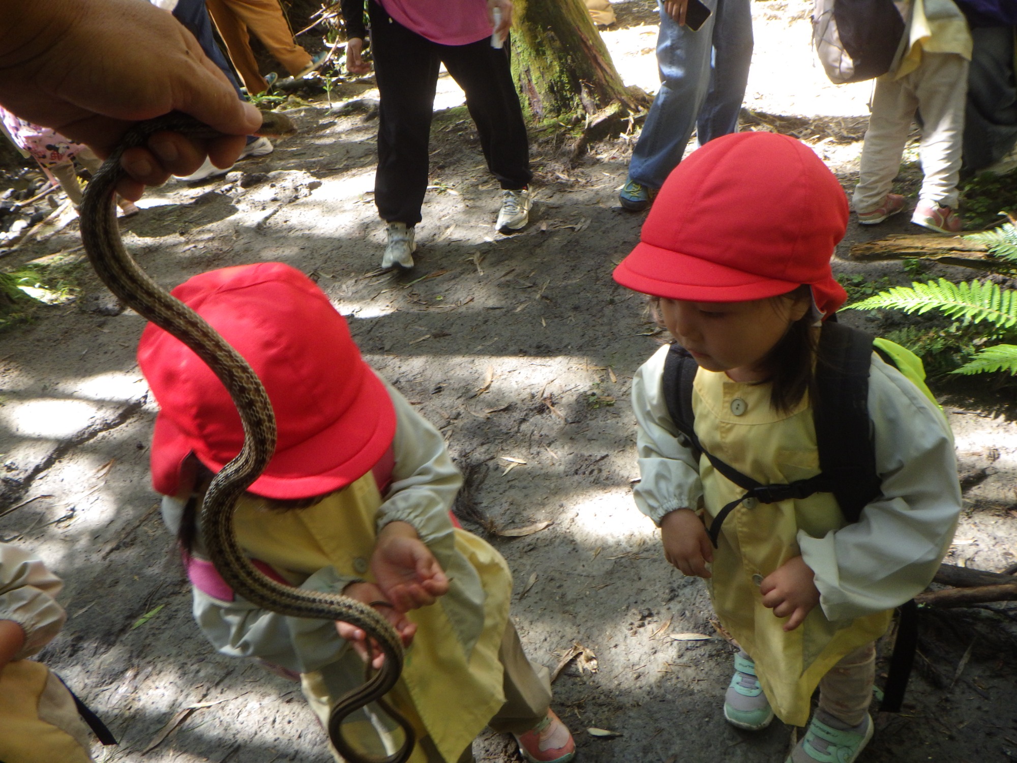 【年少】10/6　村積山　園外保育（1/2）